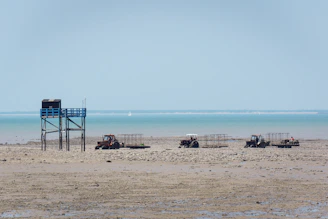 Ostréiculteurs à Angoulins 