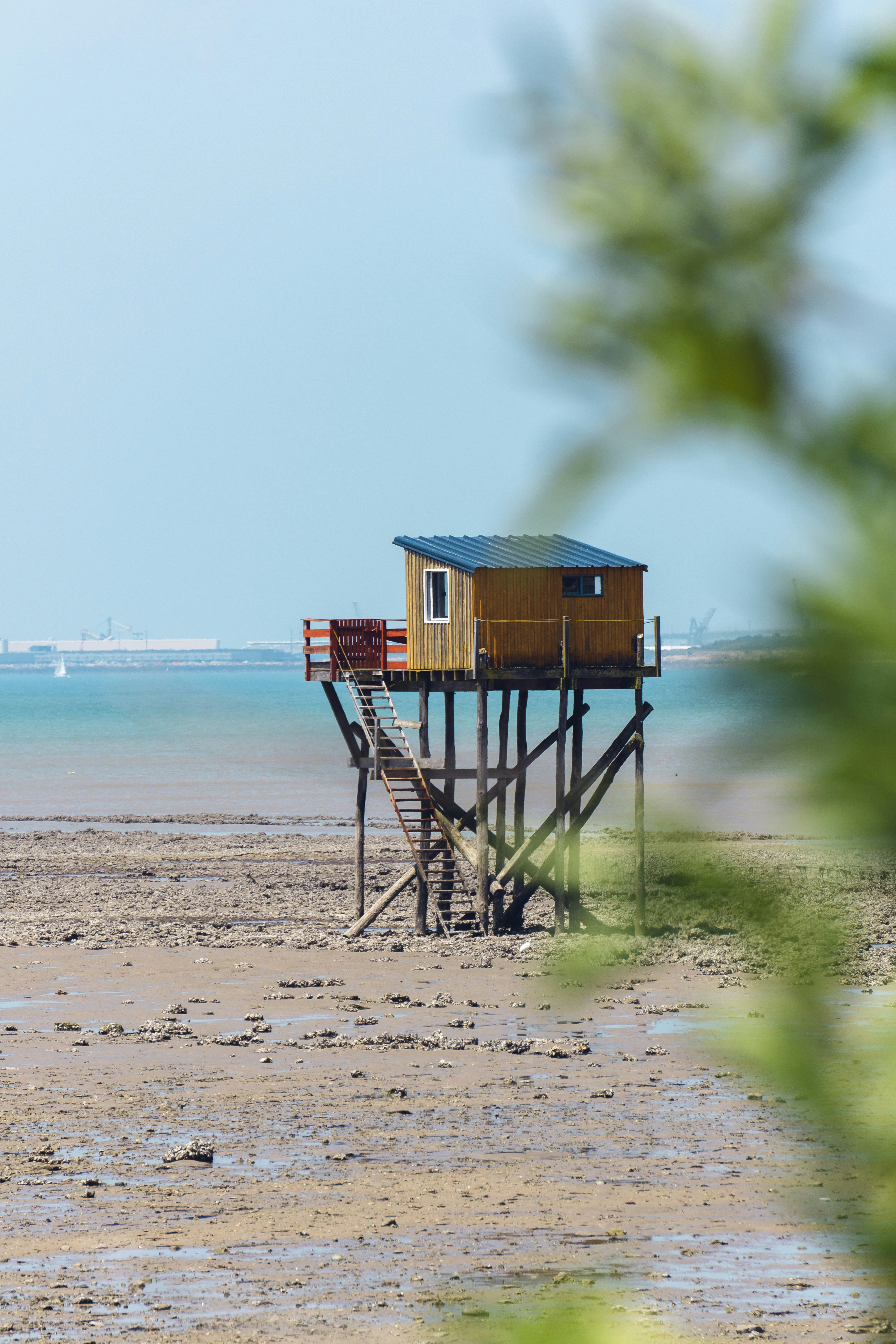 A wooden cabin stands on stilts near the sea.