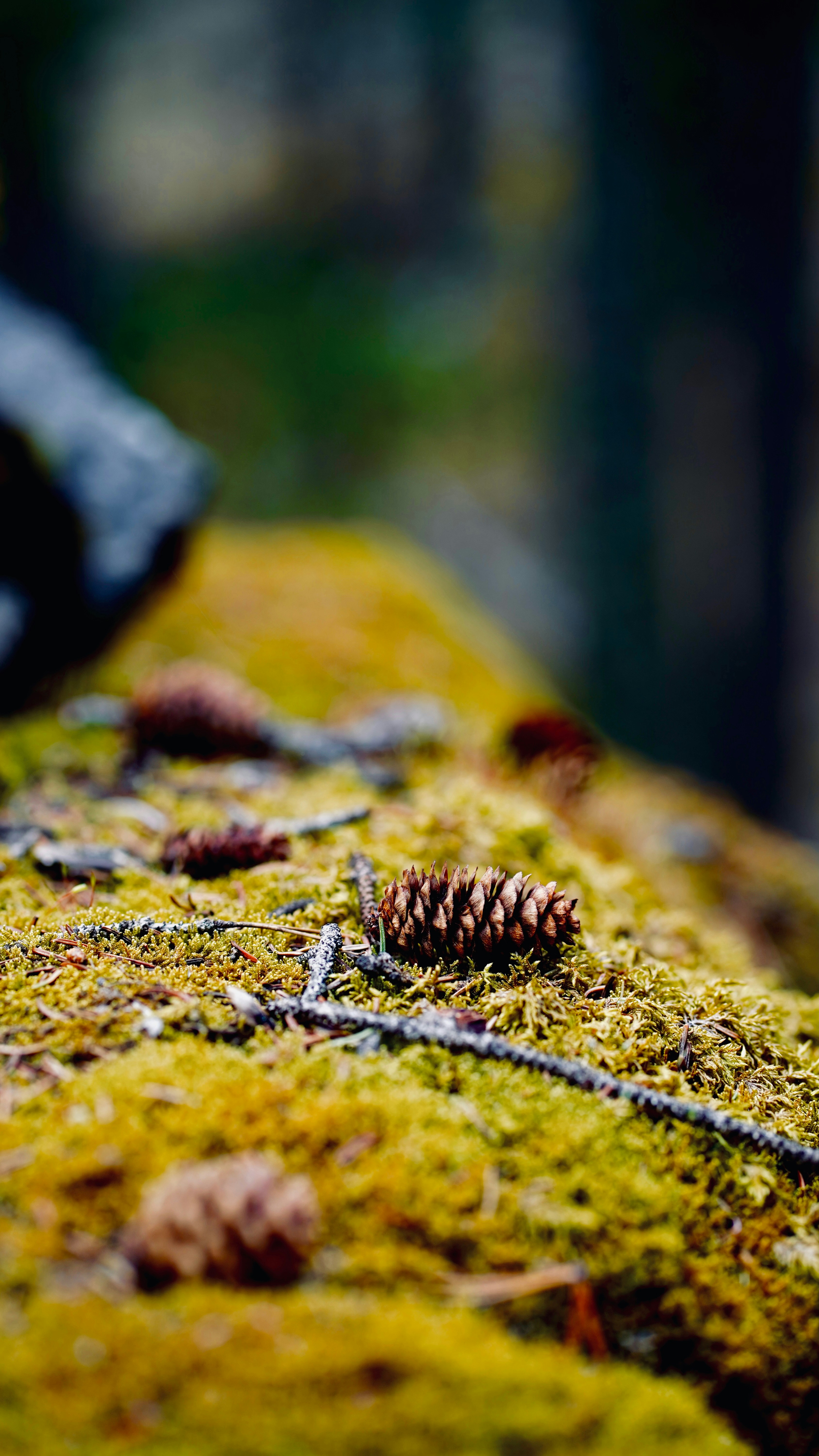 Photo by sangam_sharma