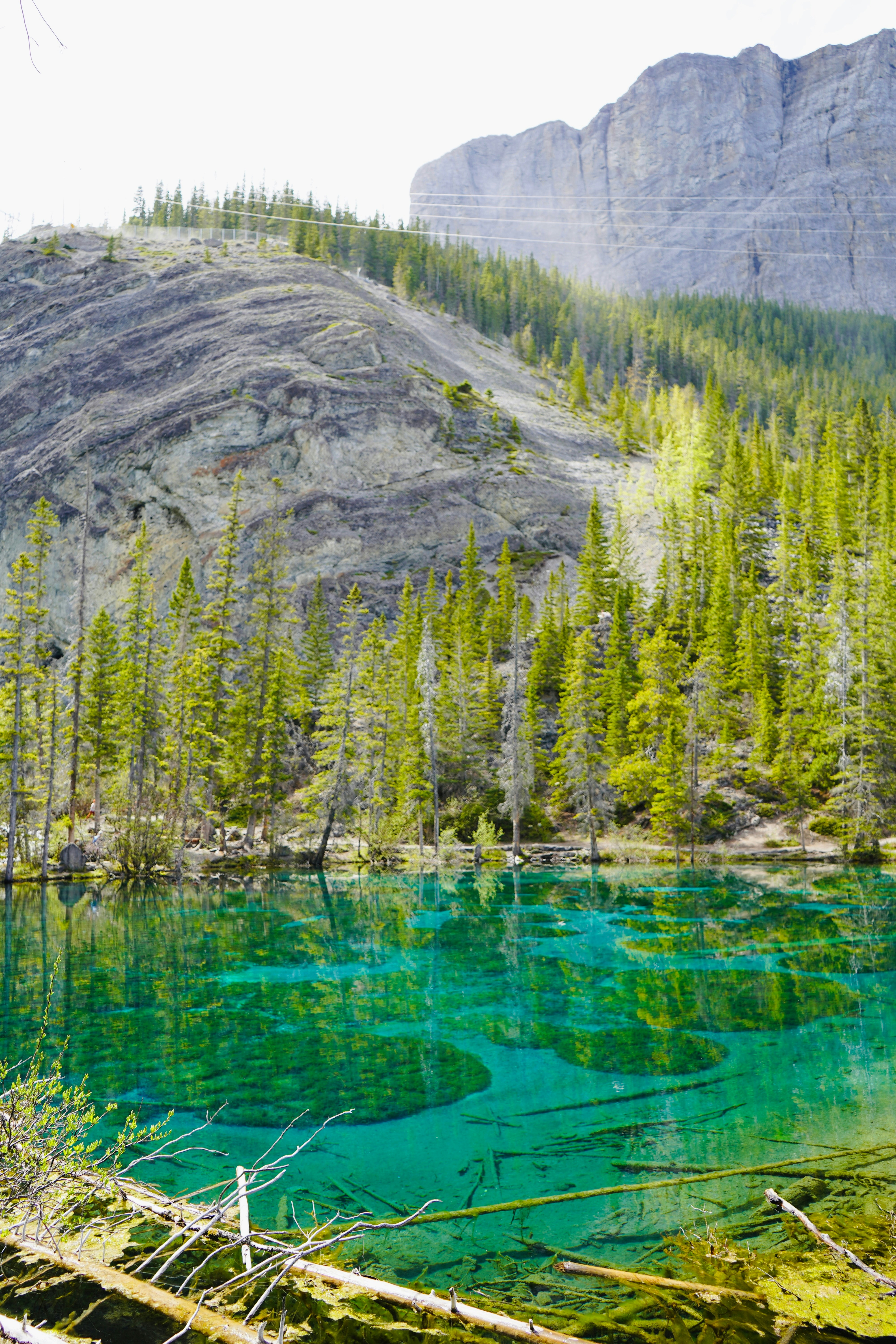 Photo by sangam_sharma