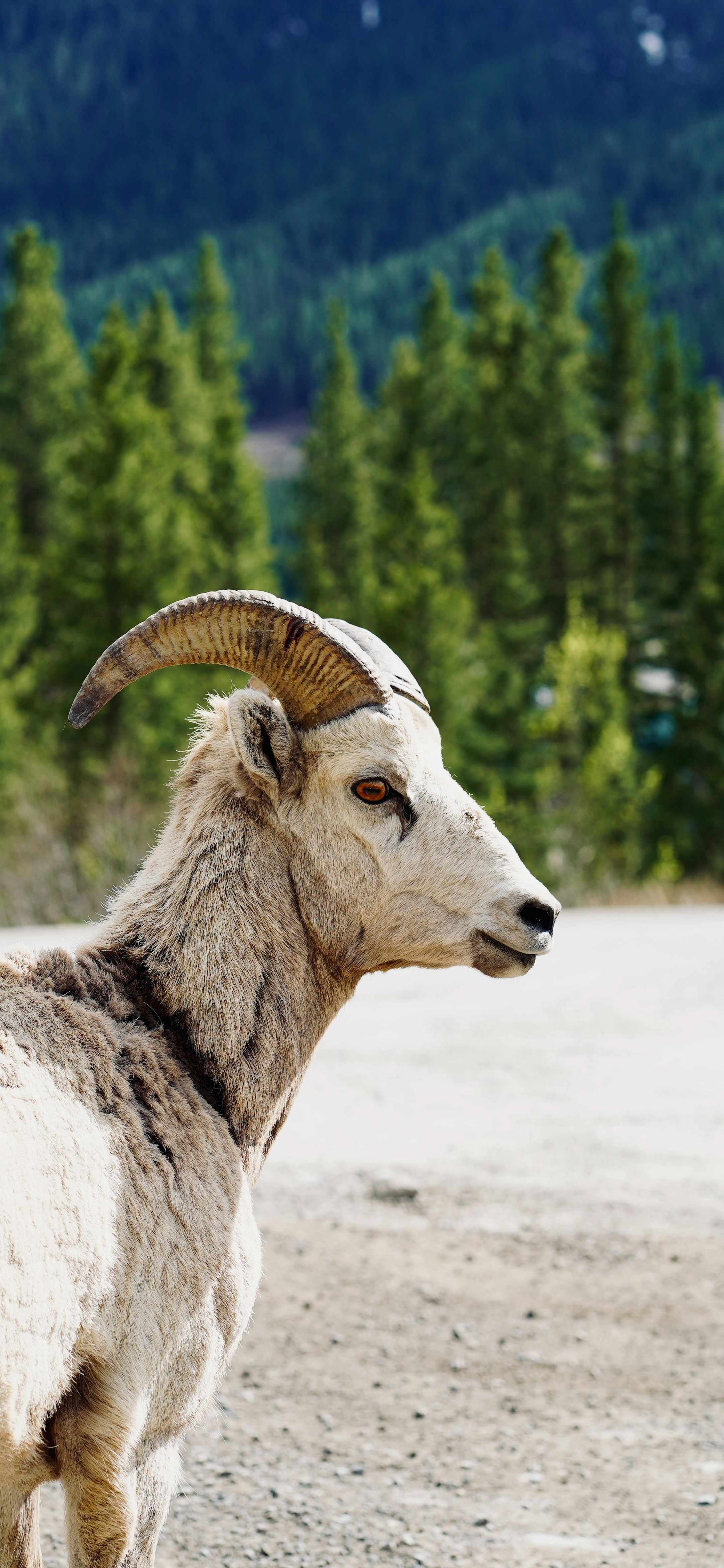 Photo by sangam_sharma