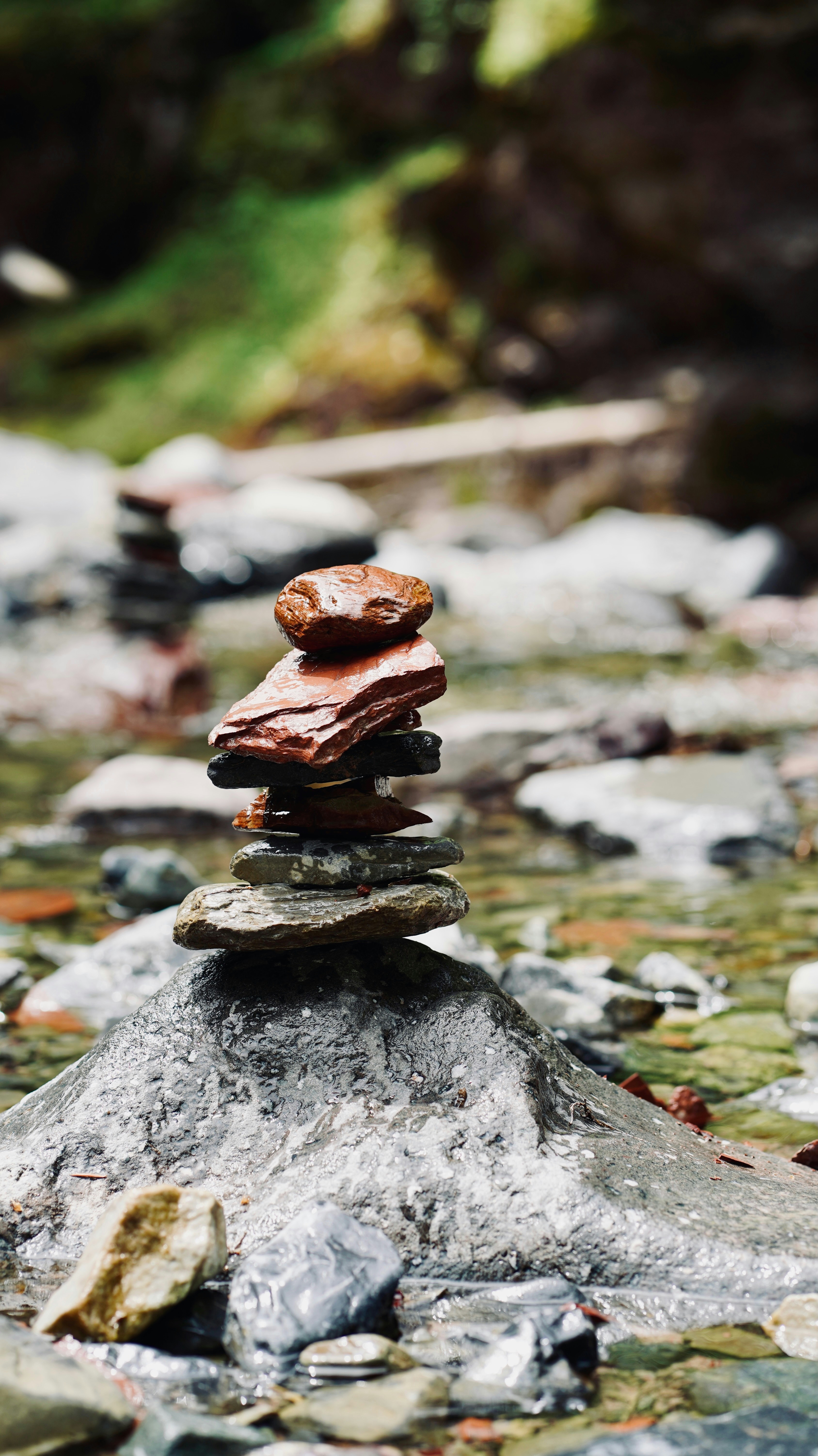 Photo by sangam_sharma