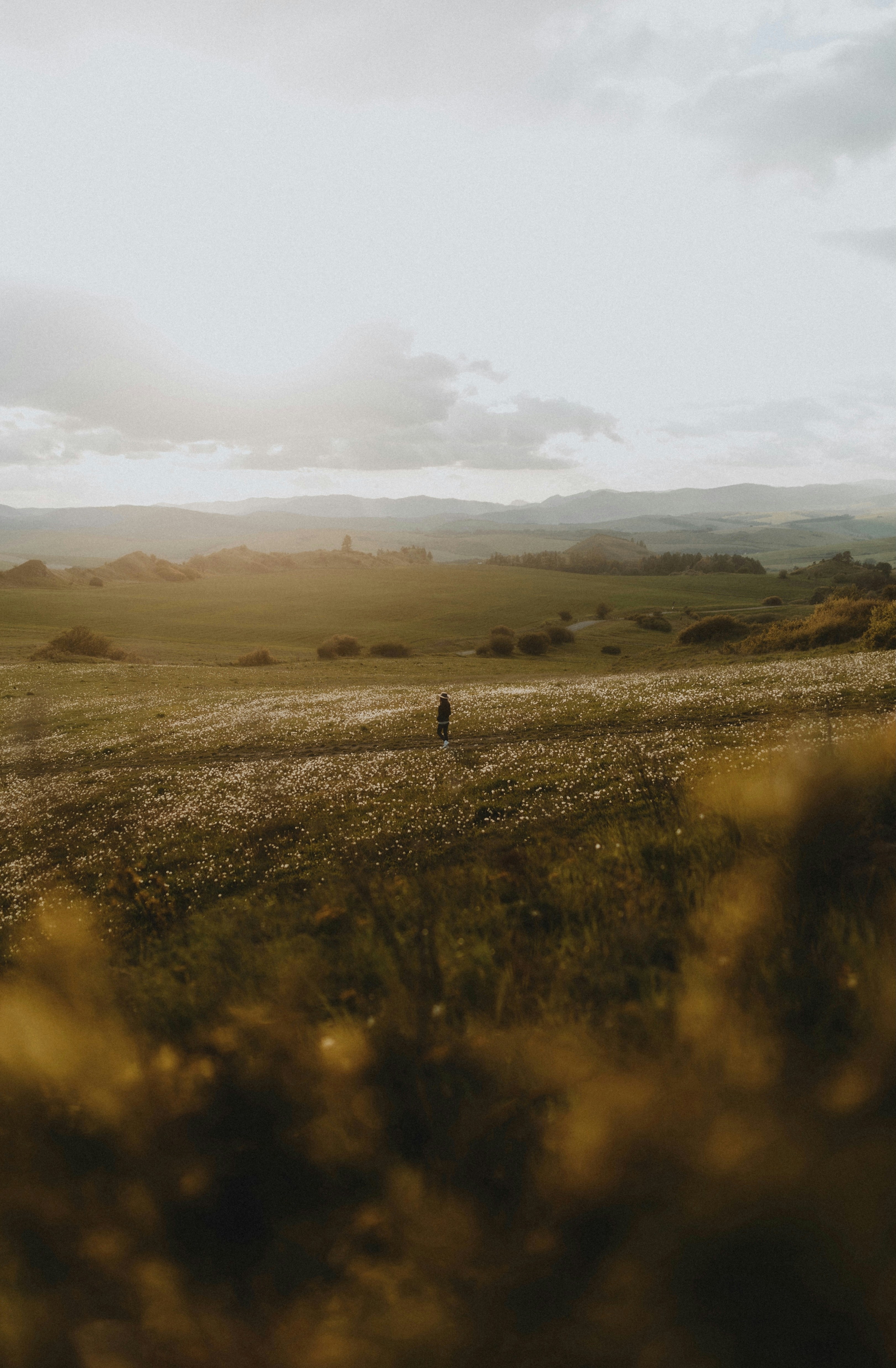 Photo by filipkvasnak