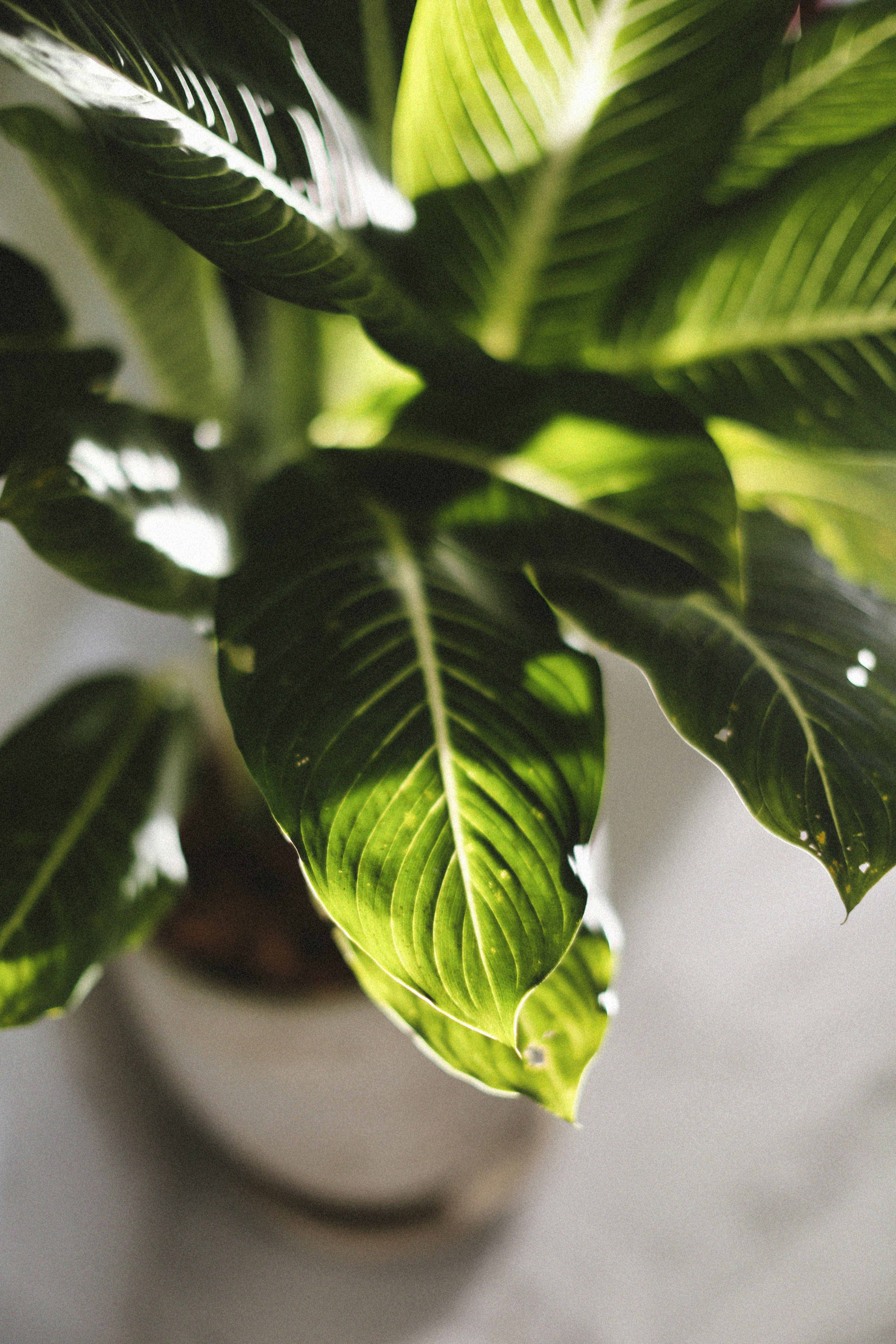 Photo by alexeydemidov