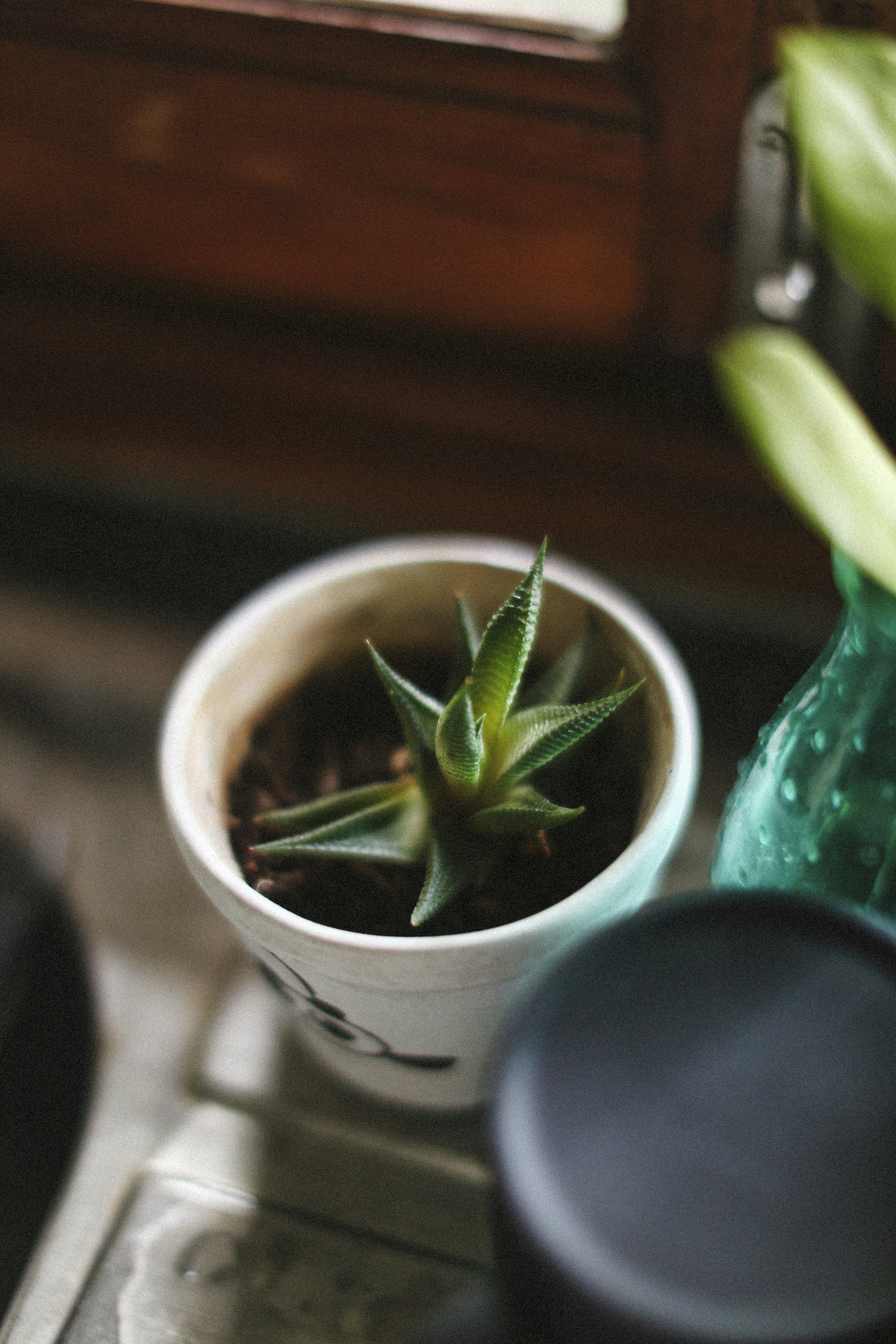 Photo by alexeydemidov