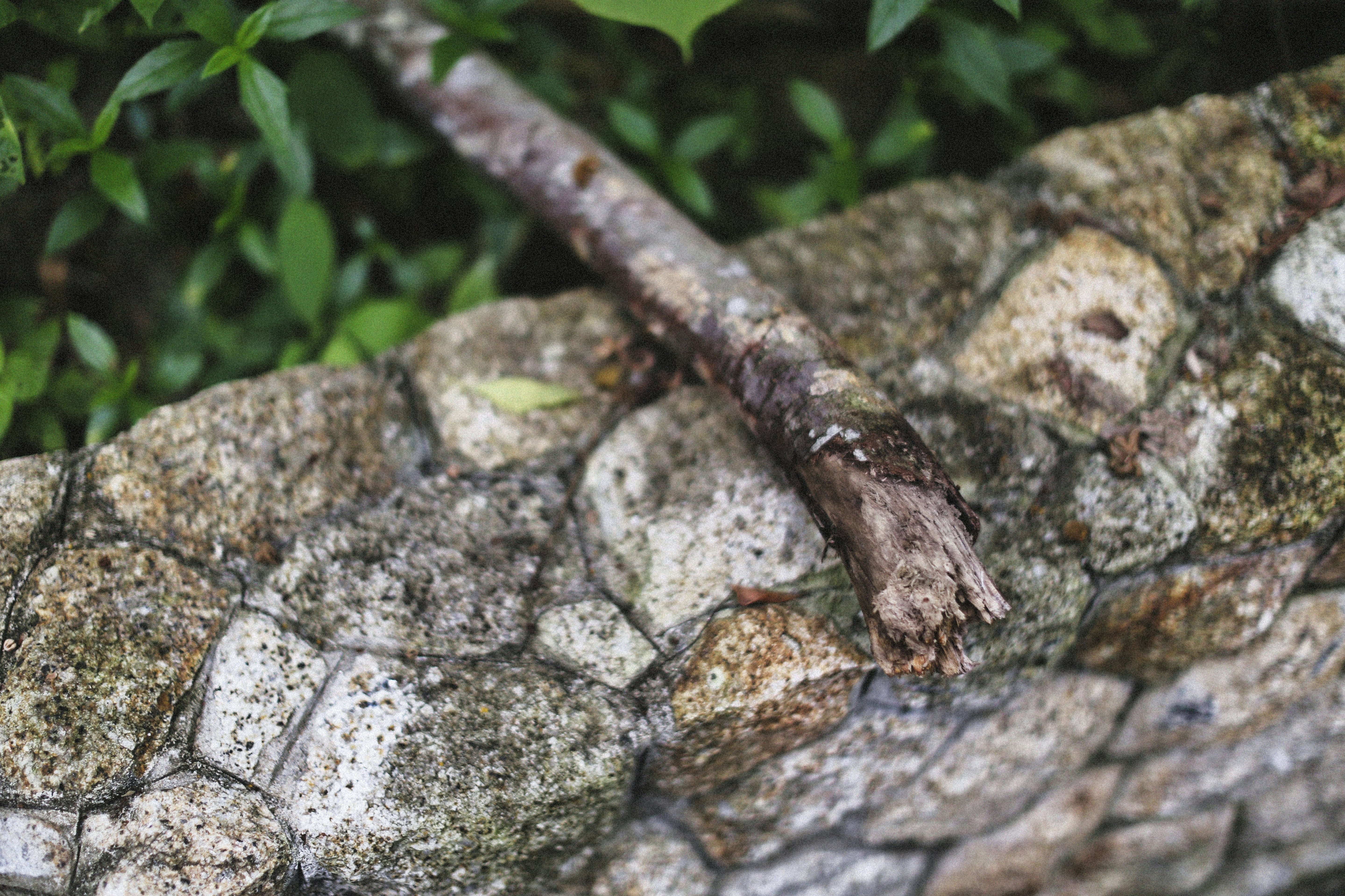 Photo by alexeydemidov