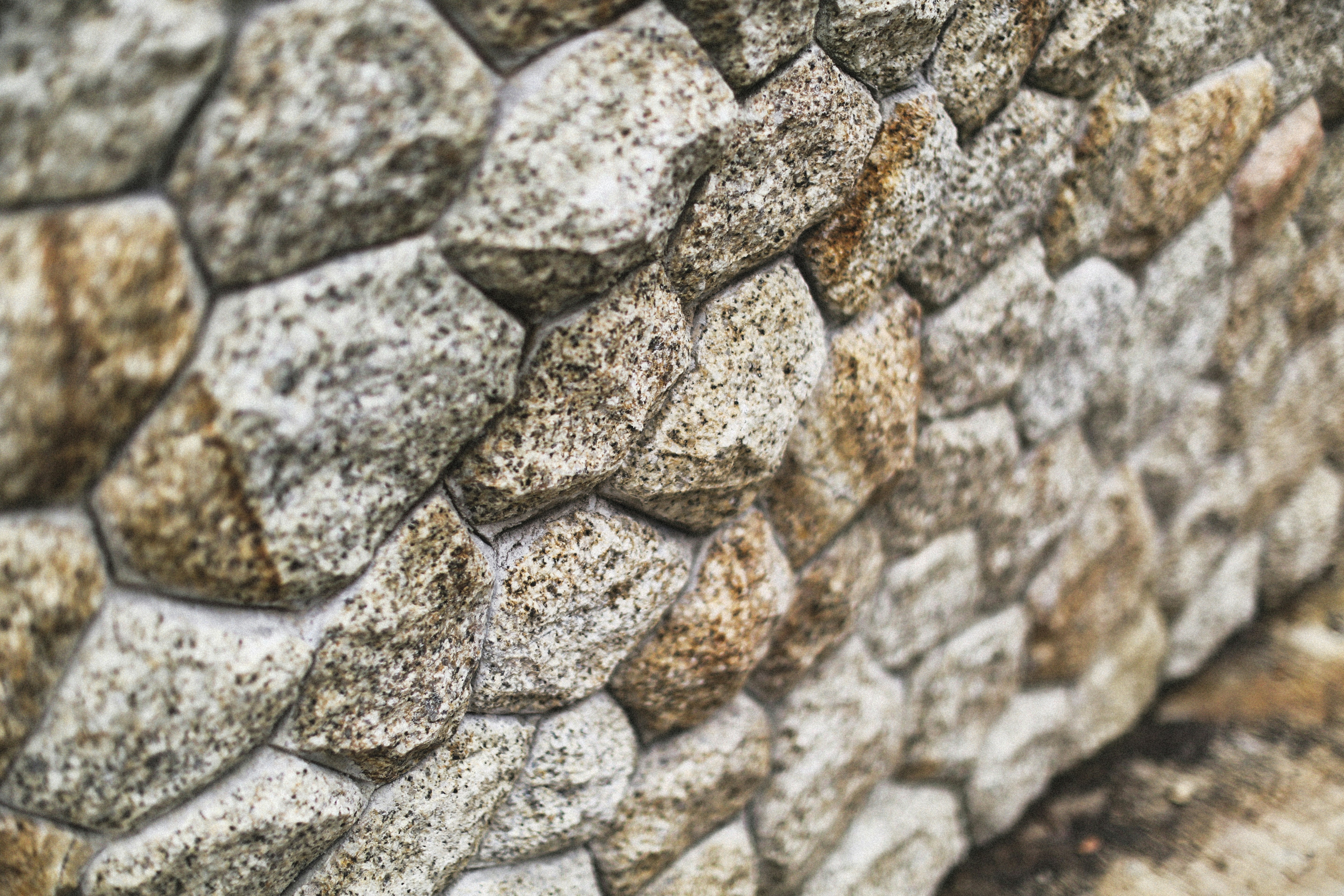 Photo by alexeydemidov