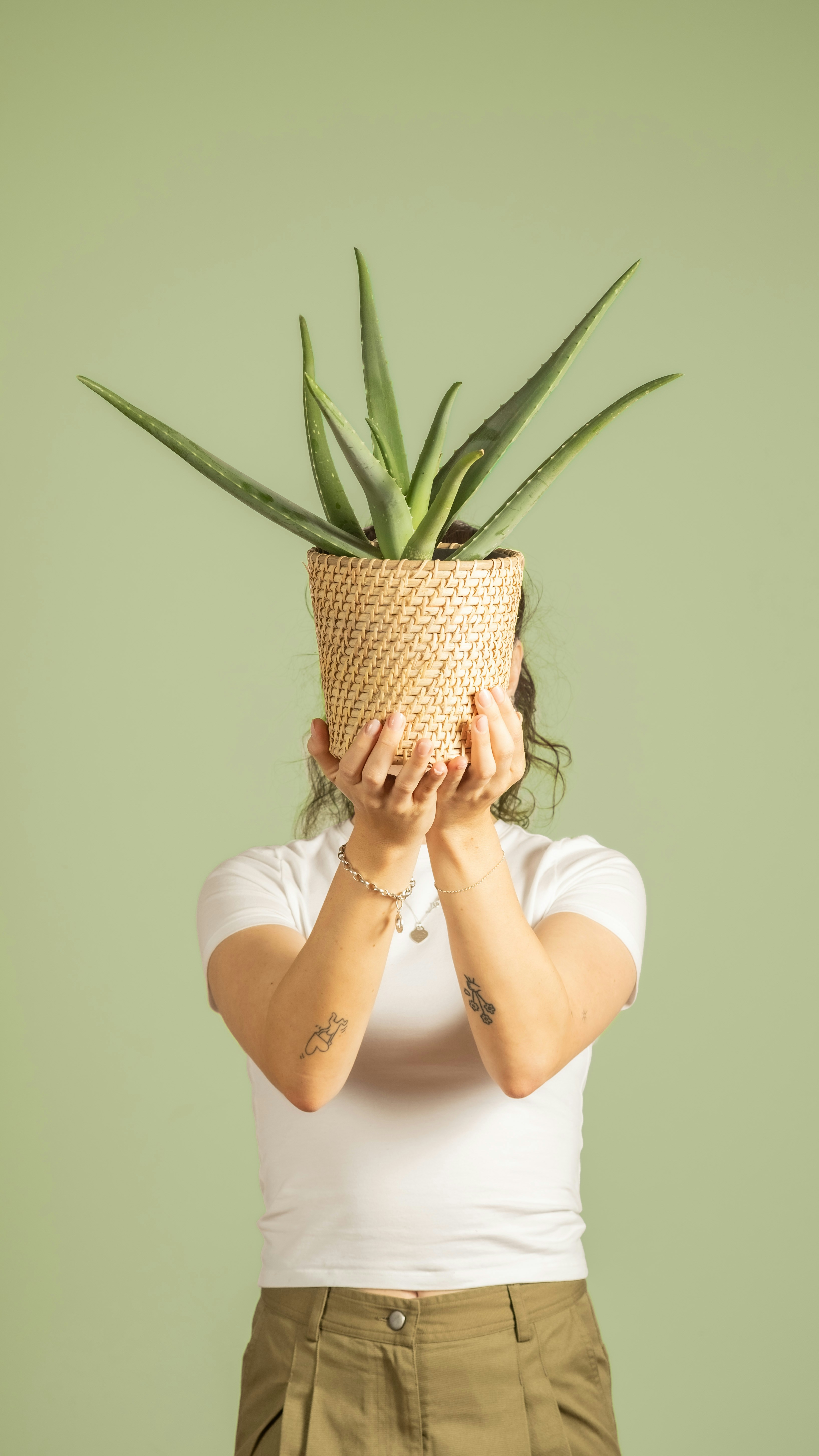 Photo by feeypflanzen