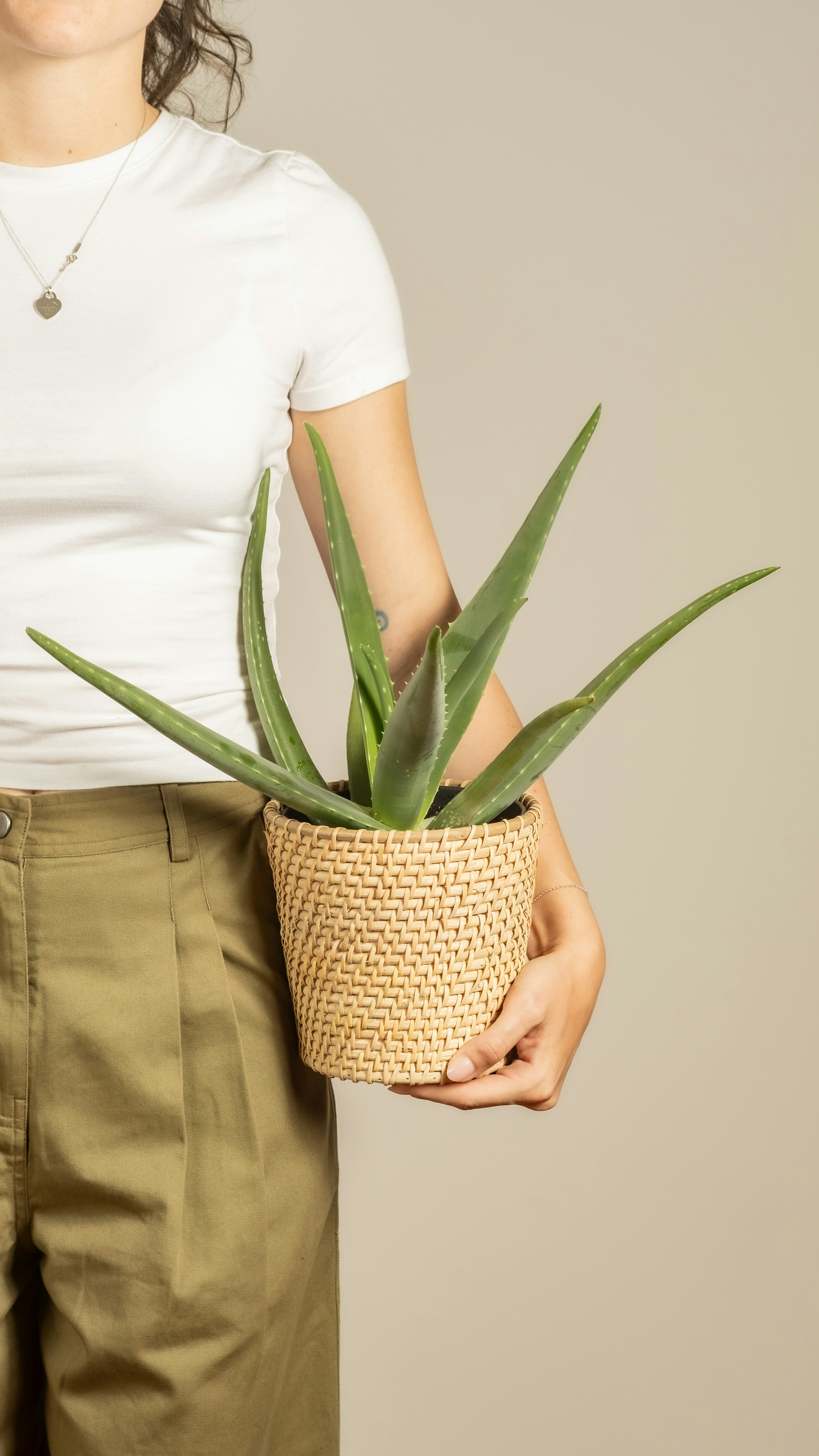 Photo by feeypflanzen