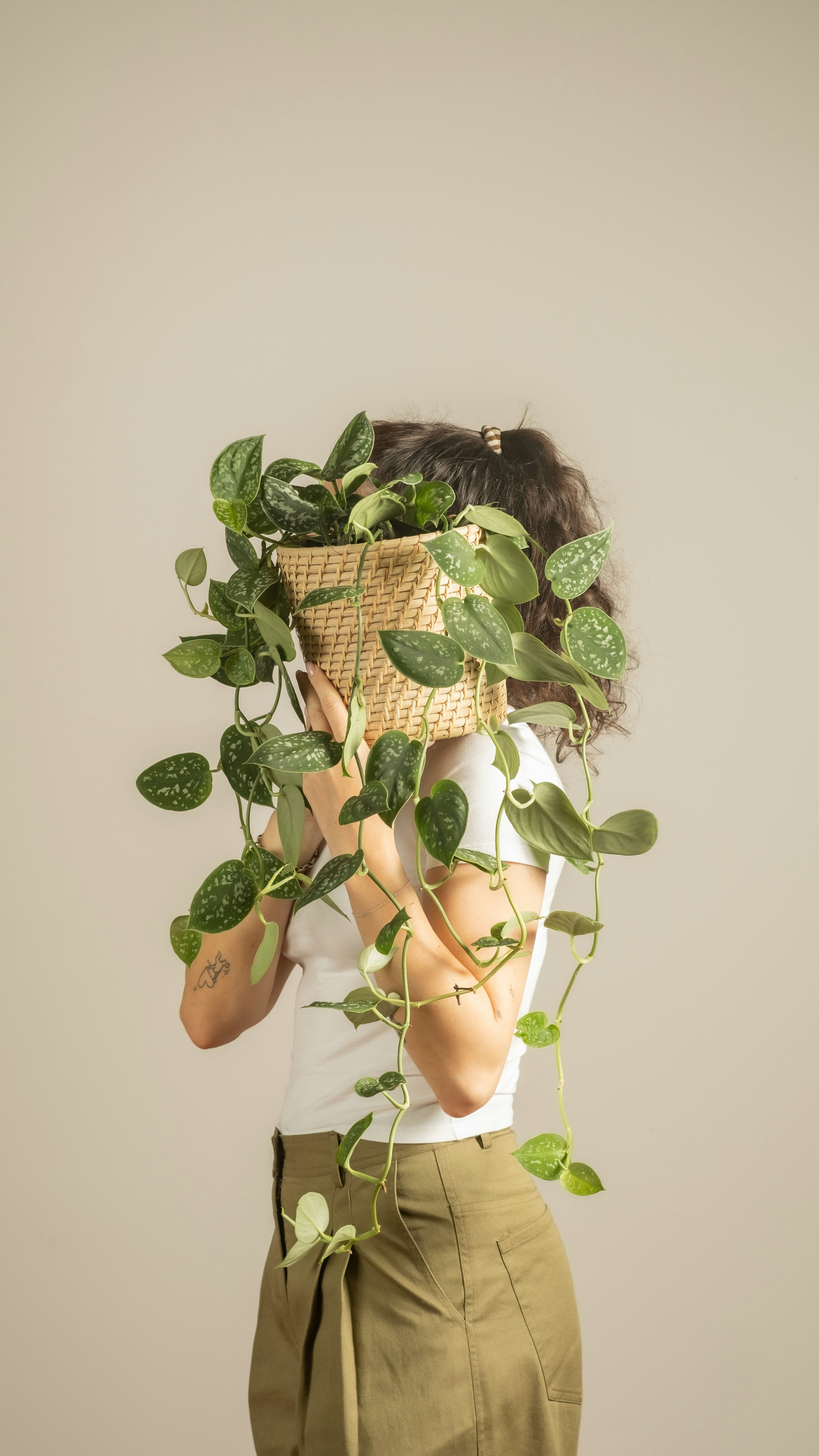 Photo by feeypflanzen