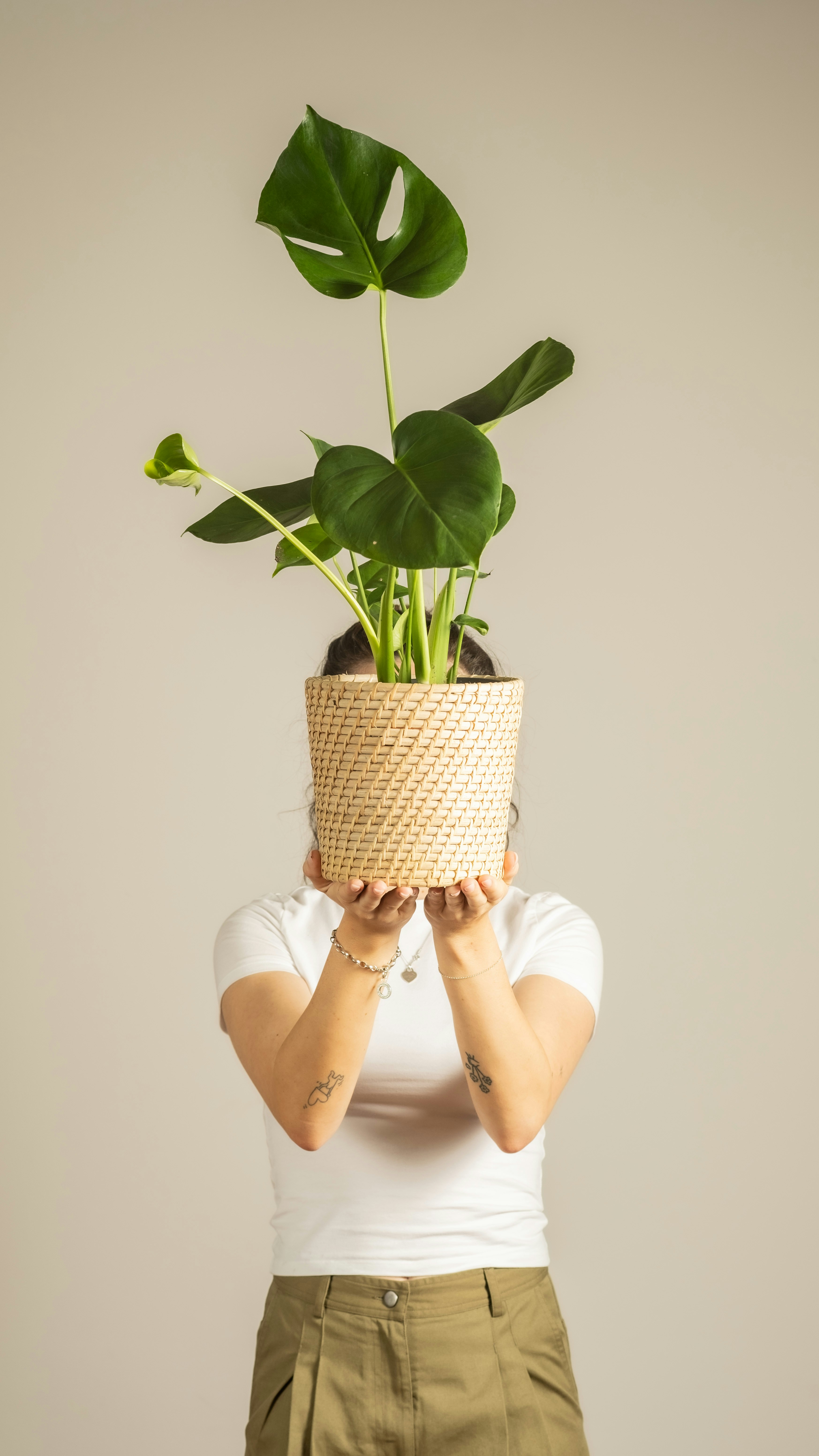 Photo by feeypflanzen