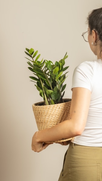 Understanding Your Plant Parent Personality: A Guide to Better Plant Care