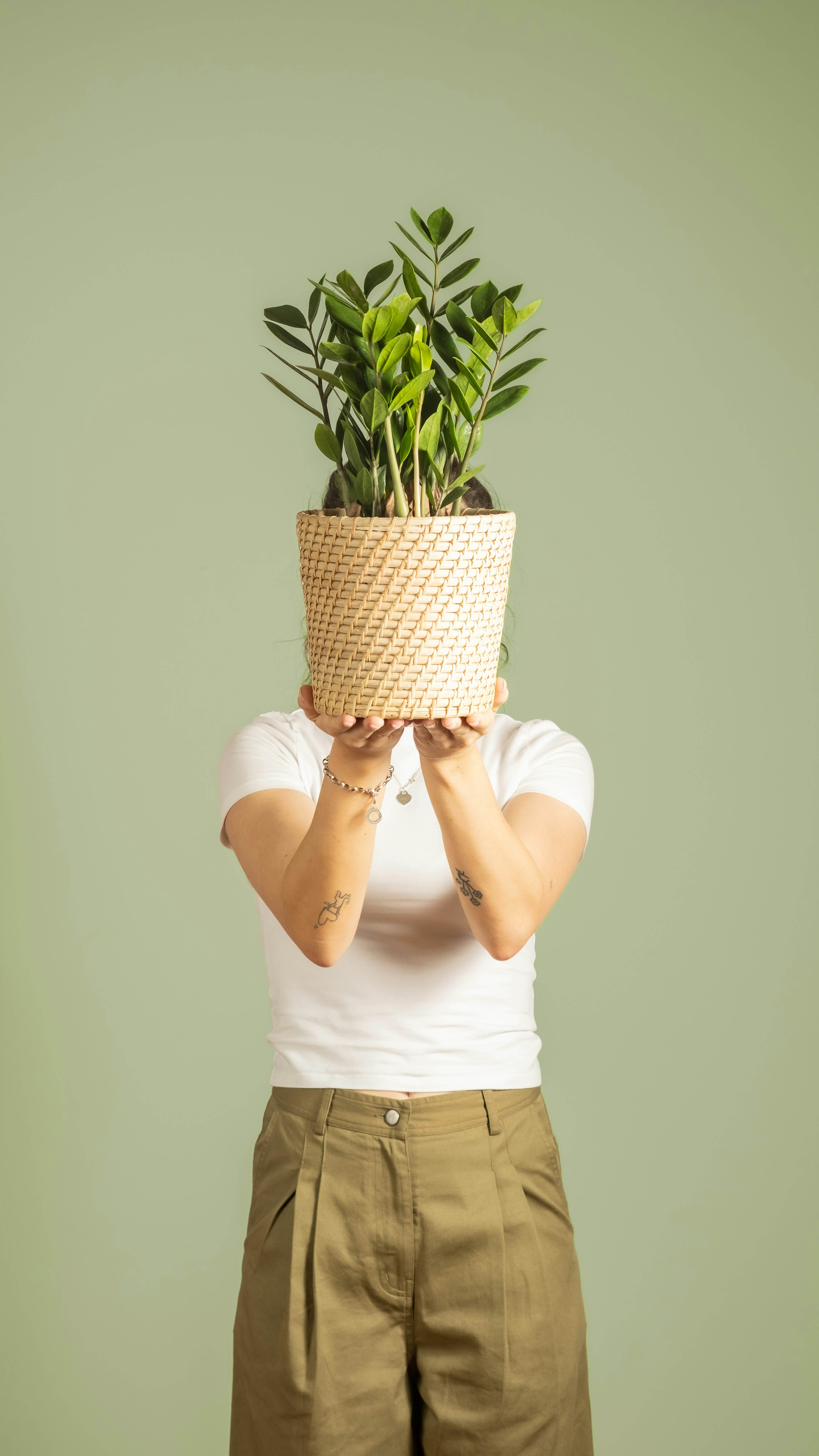 Photo by feeypflanzen