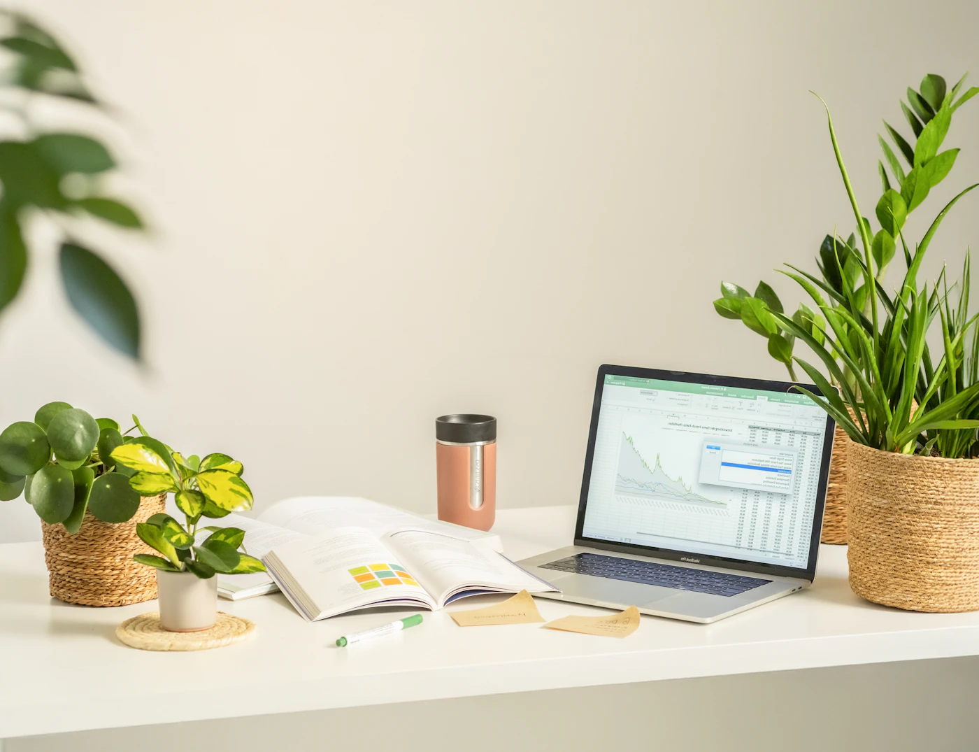 A sunlit desk with a laptop, books and green plants