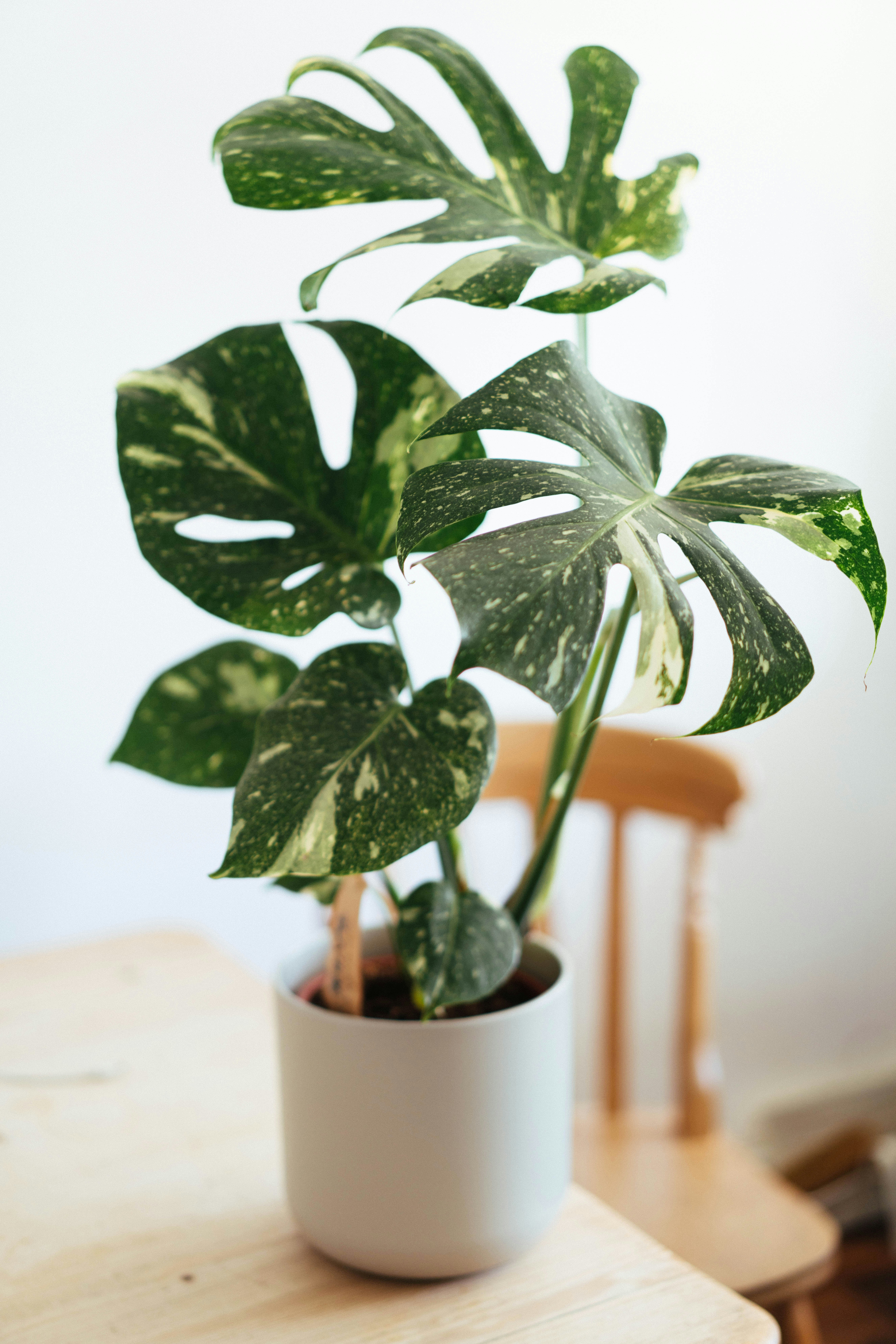 Photo by philhearing