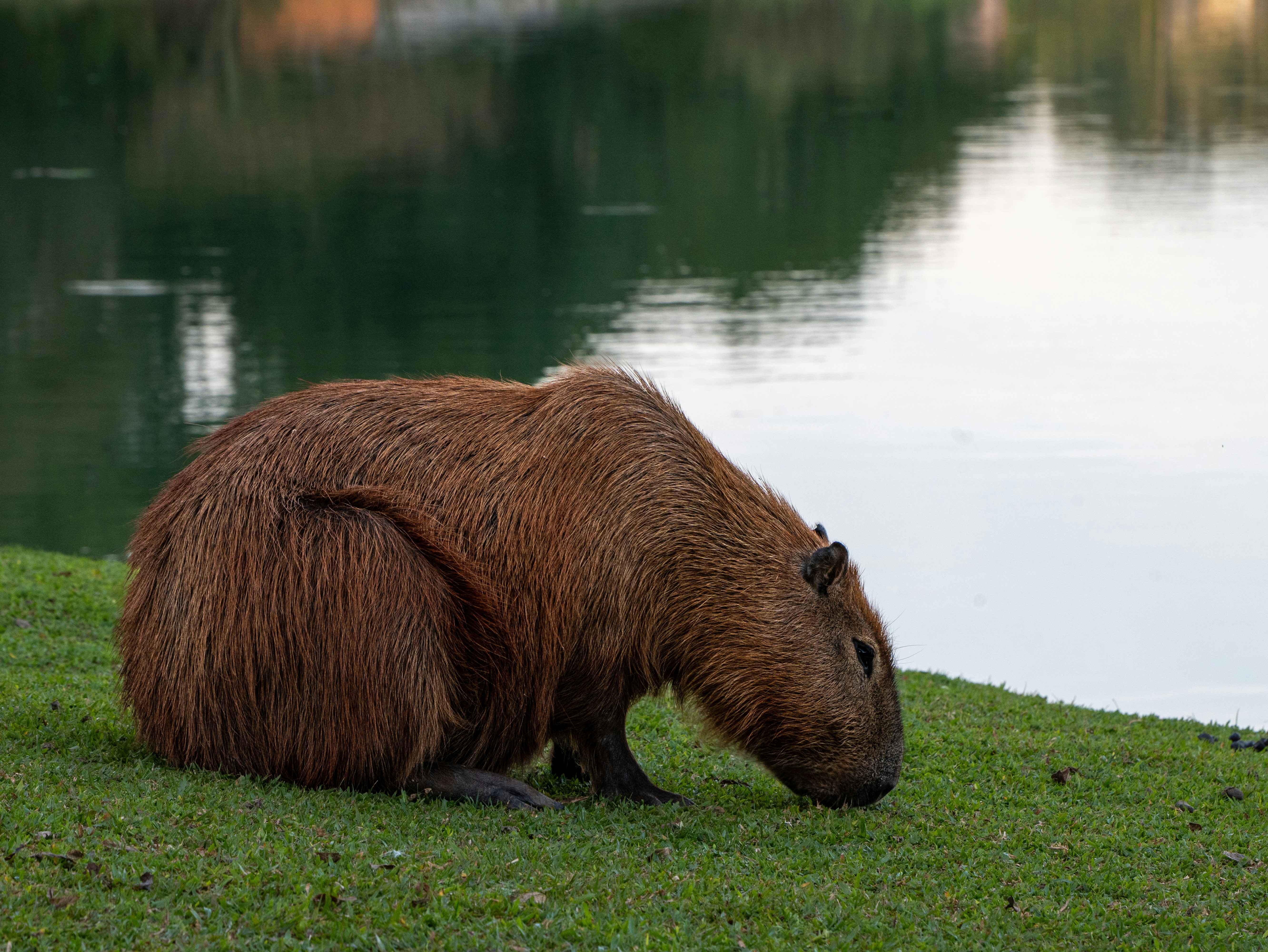 Semaglutide in Beaver, AK: A Local Guide to Weight-Management Routines, Seasons, and Real-Life Habits