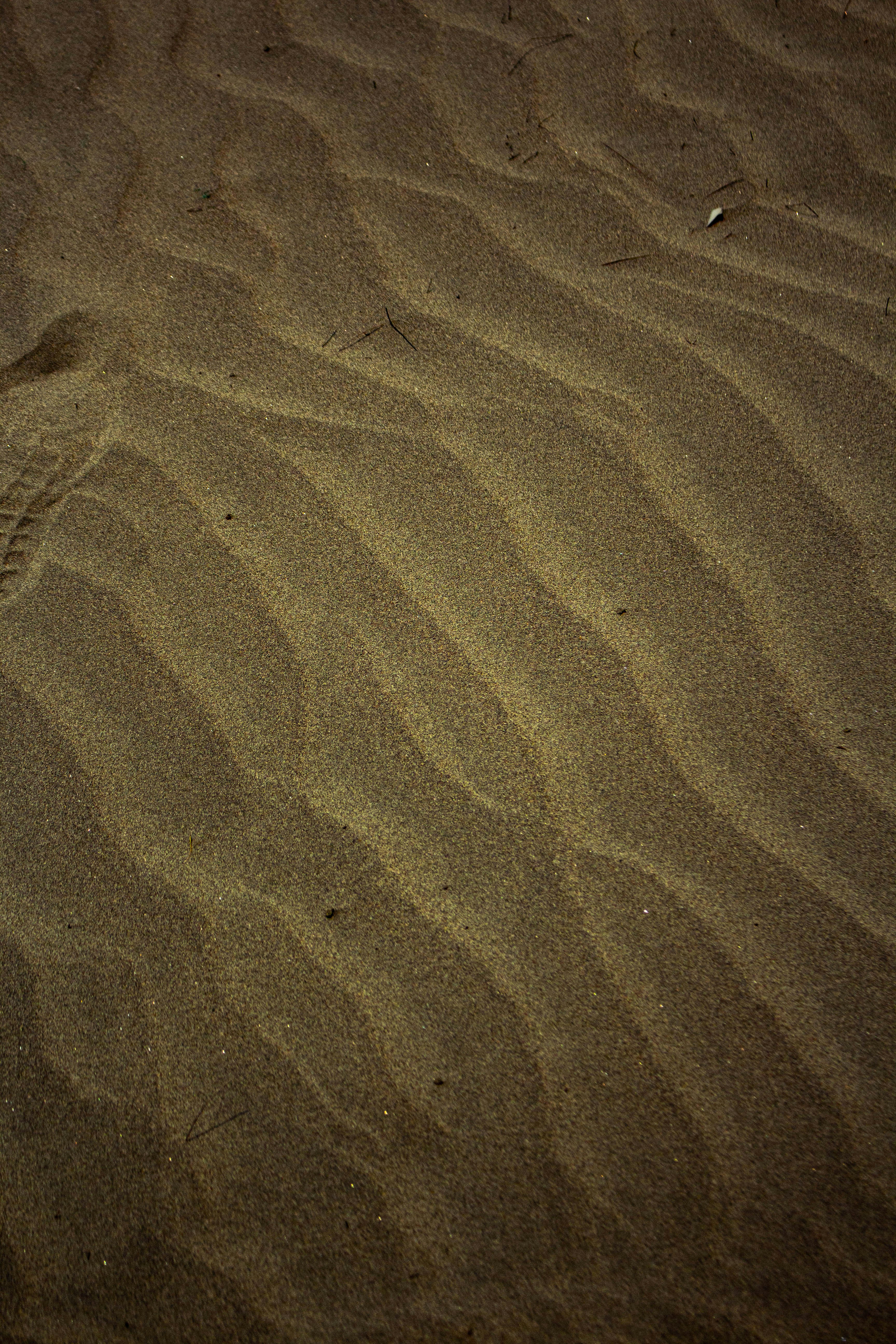 Photo by pallabkumar547