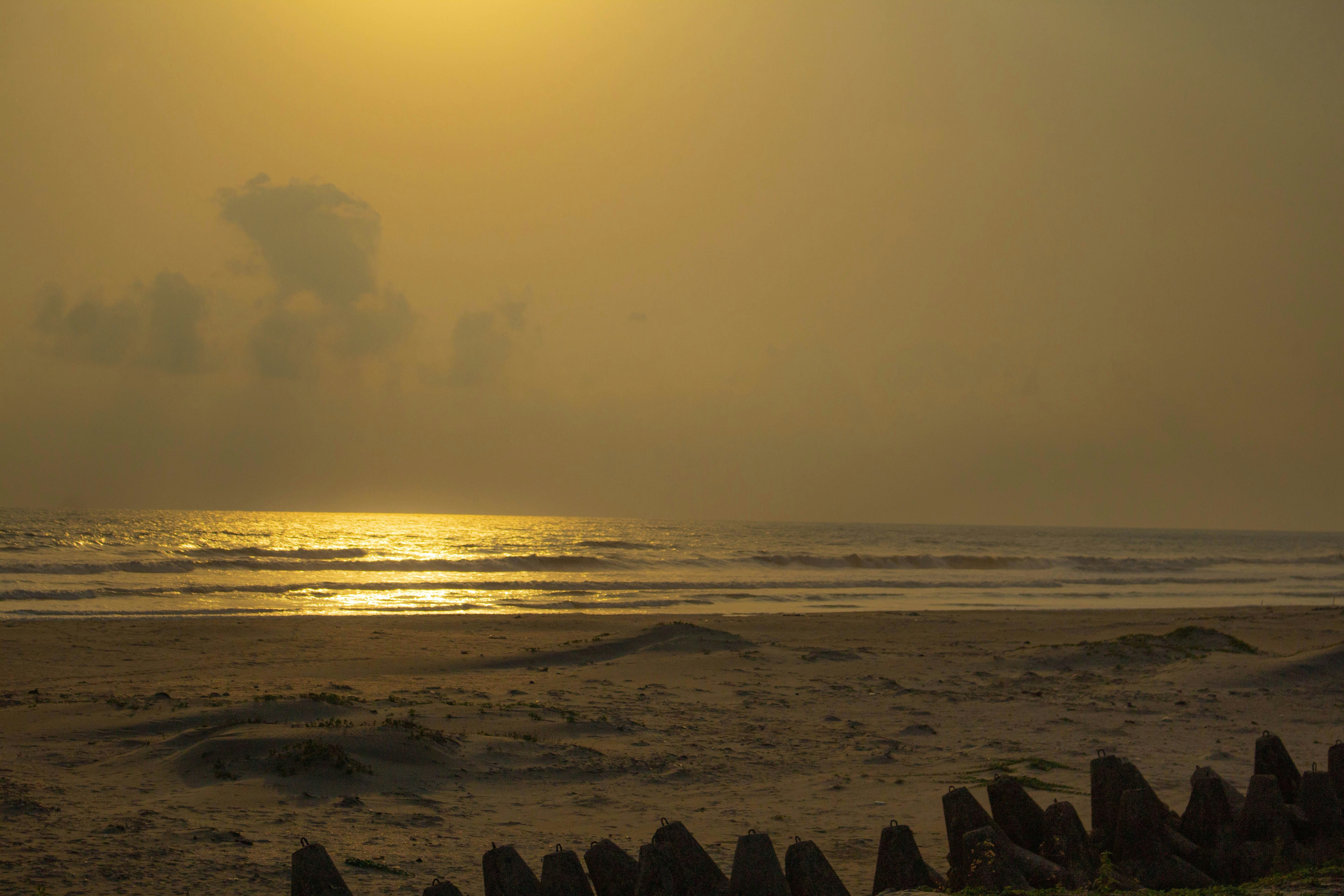 Photo by pallabkumar547