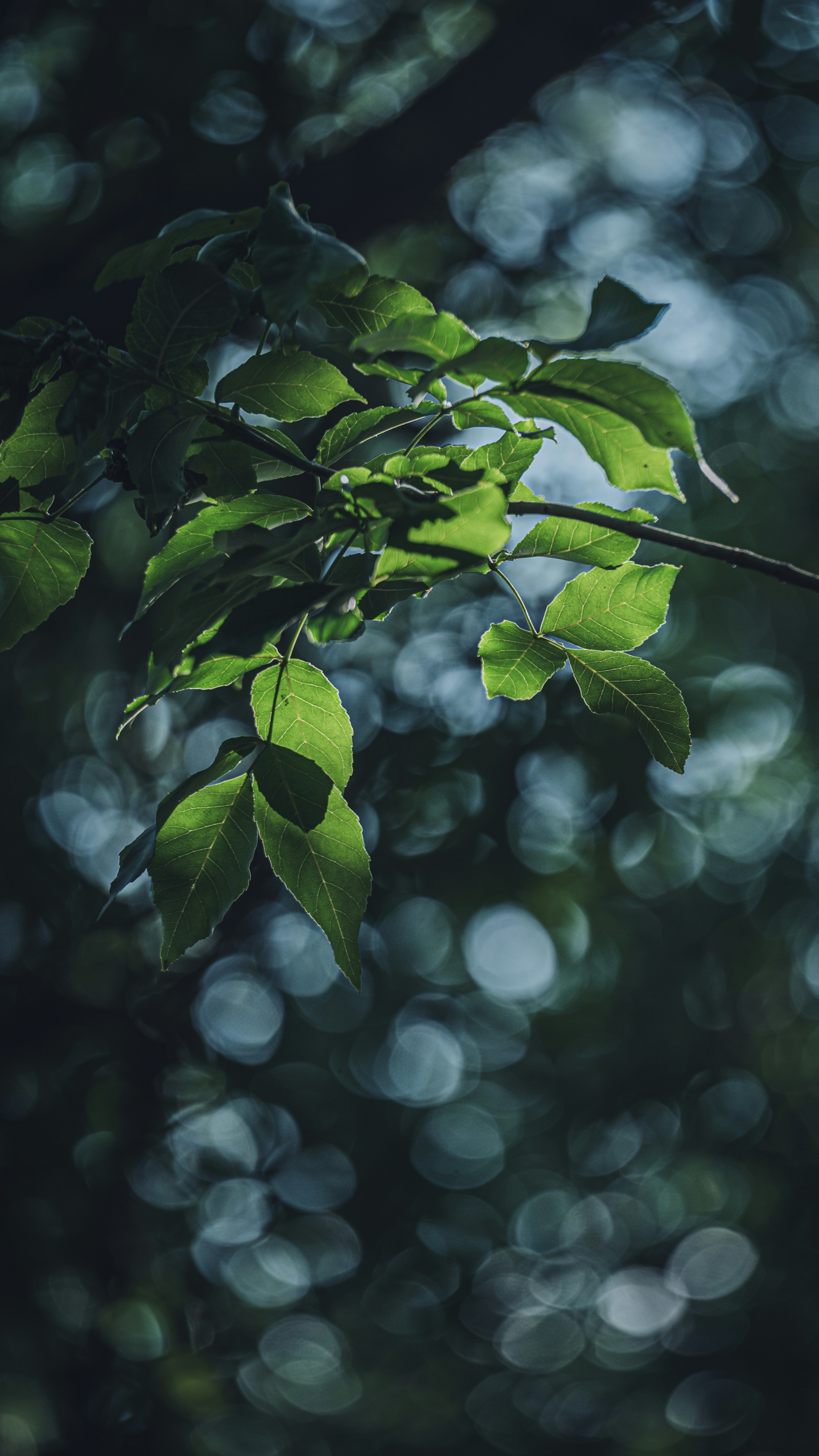 Photo by peek_a_boo_who