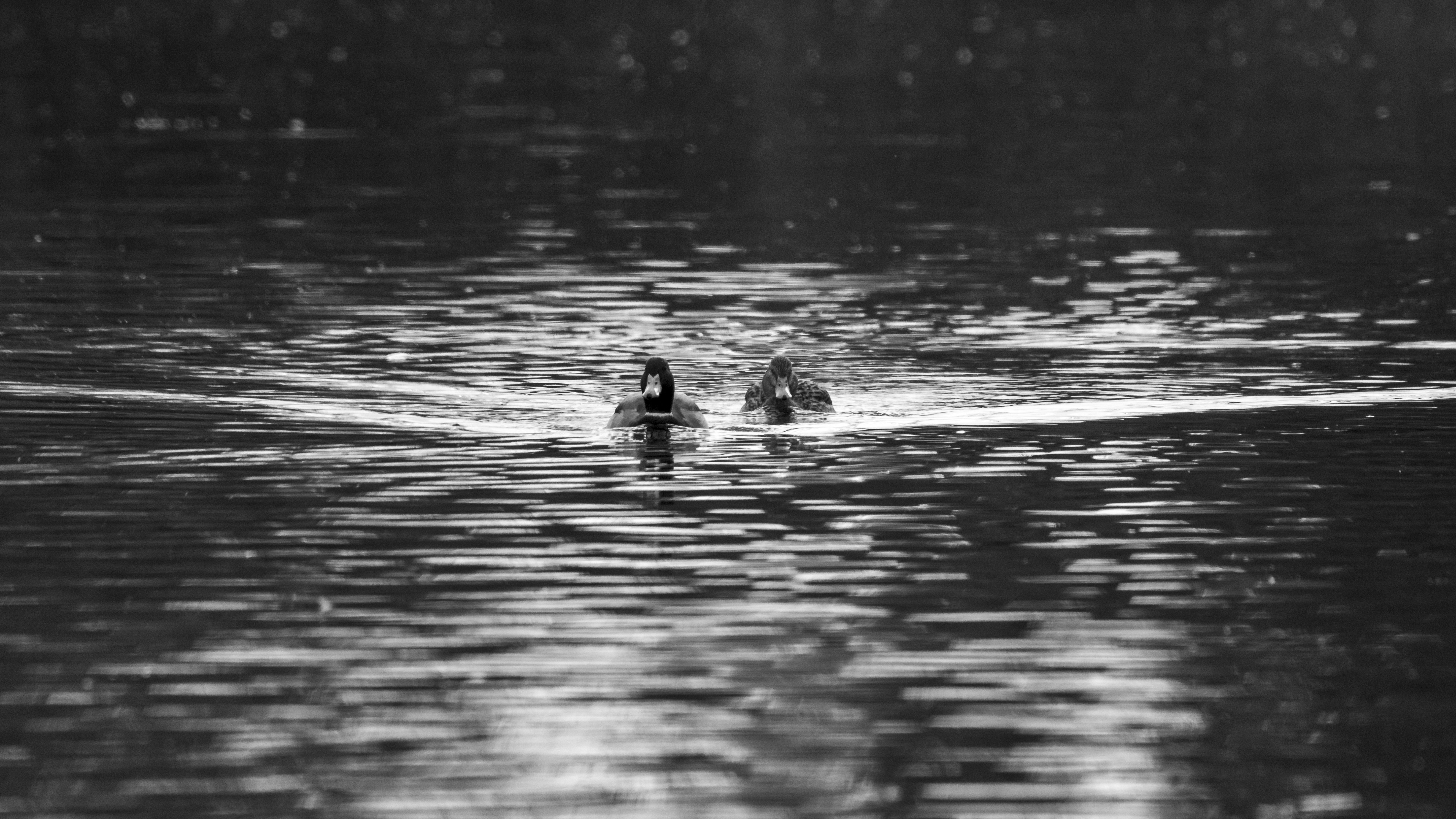 Saint-Louis – Safety, Health & Local Etiquette