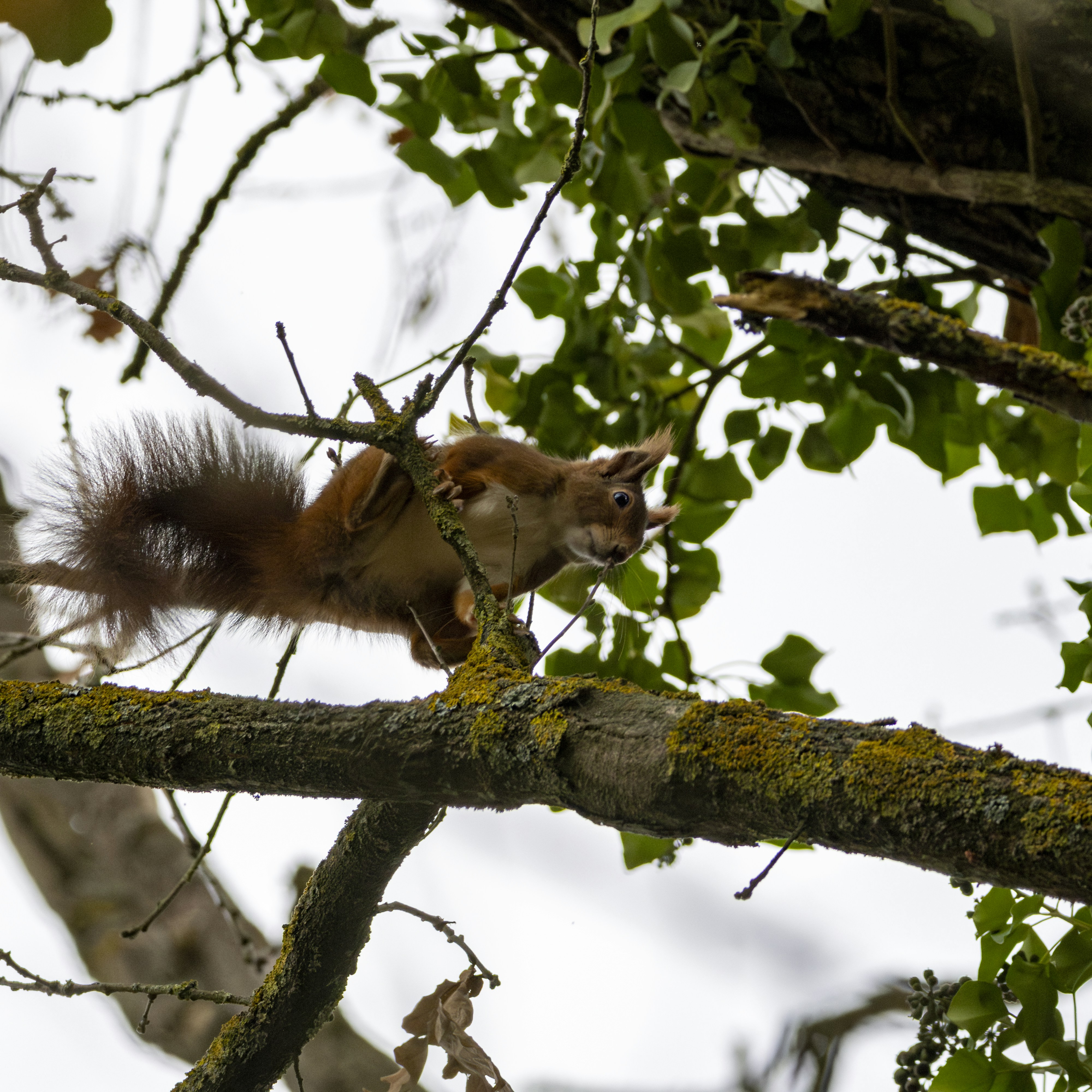 Photo by matthieur68