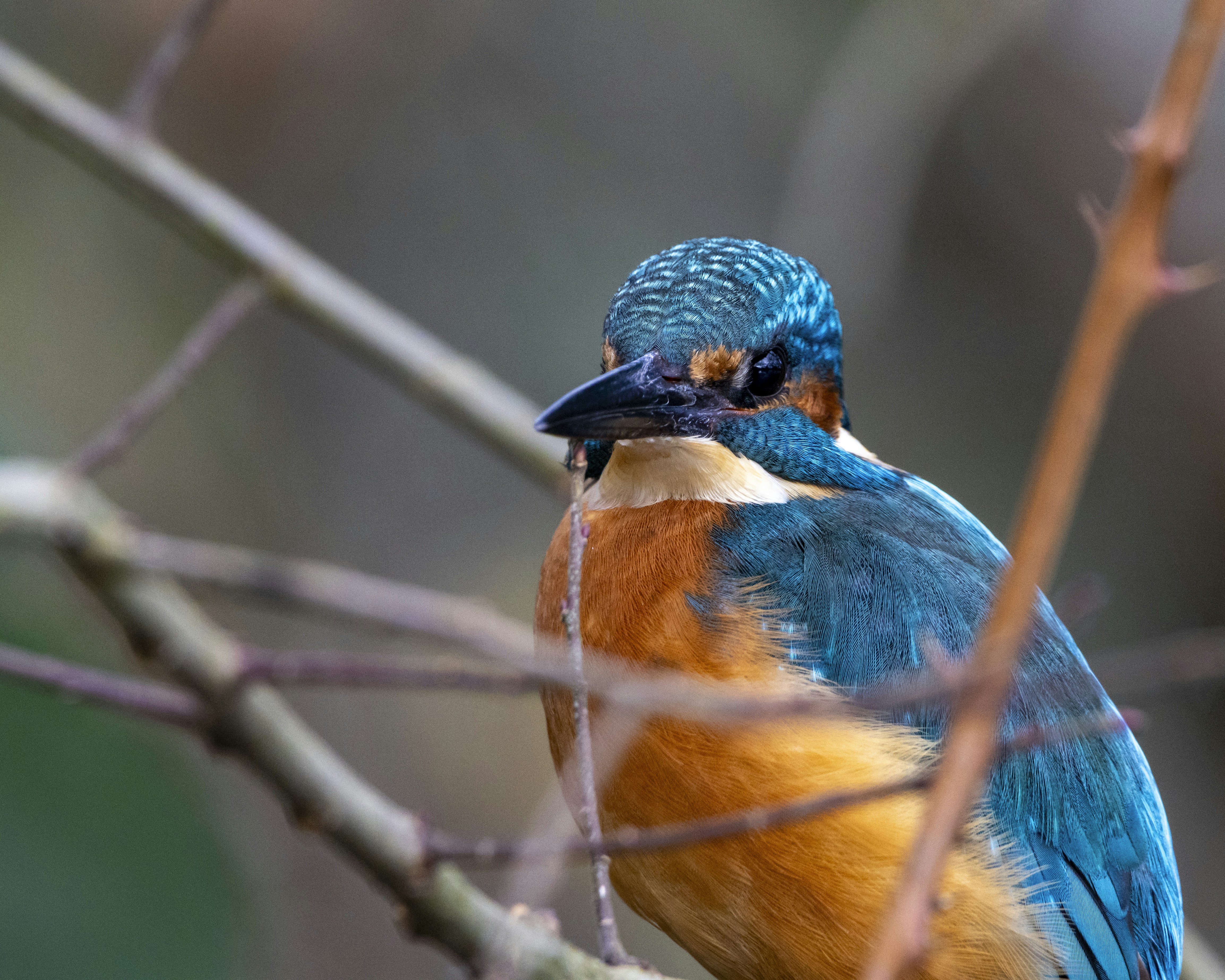 Photo by matthieur68