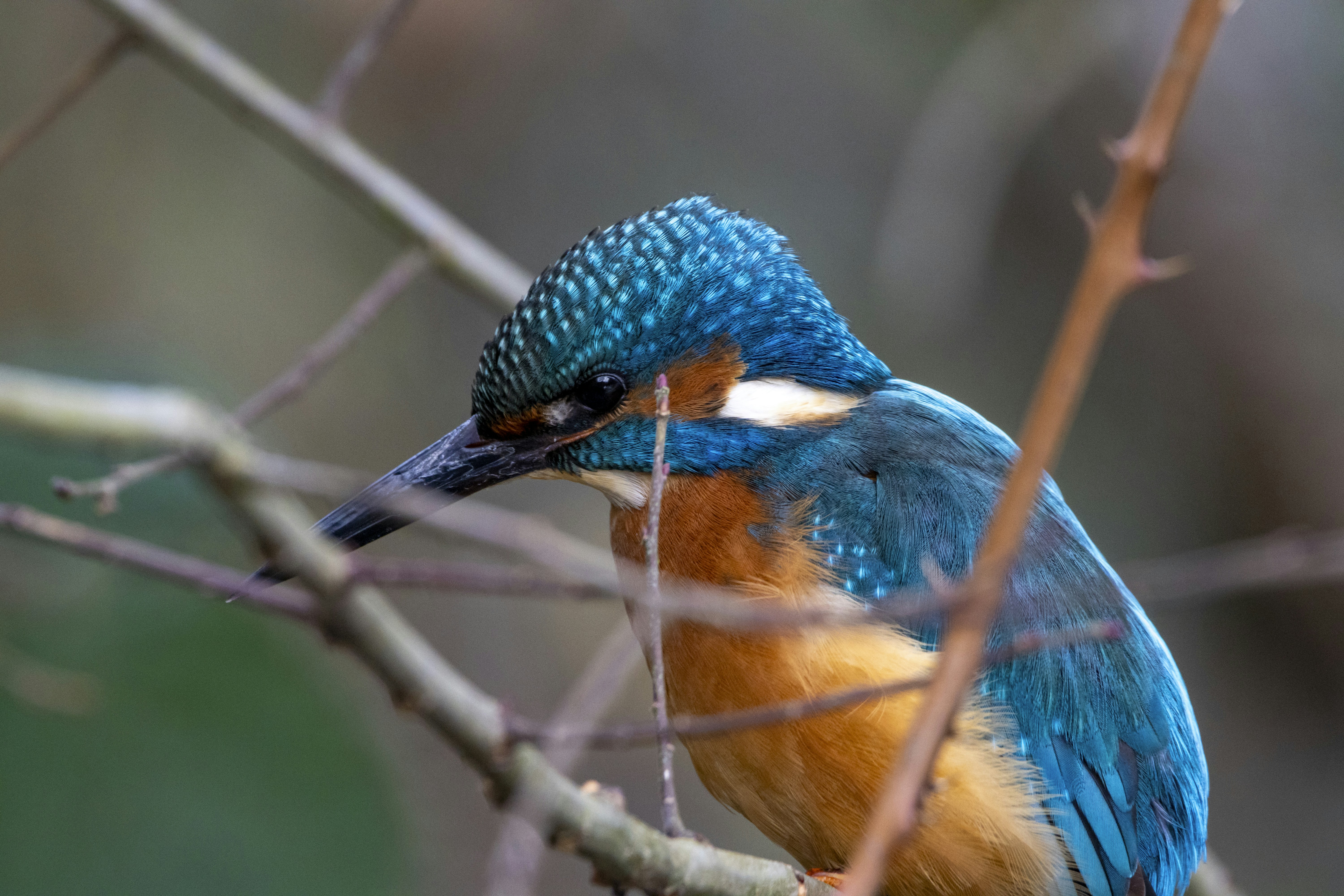 Photo by matthieur68