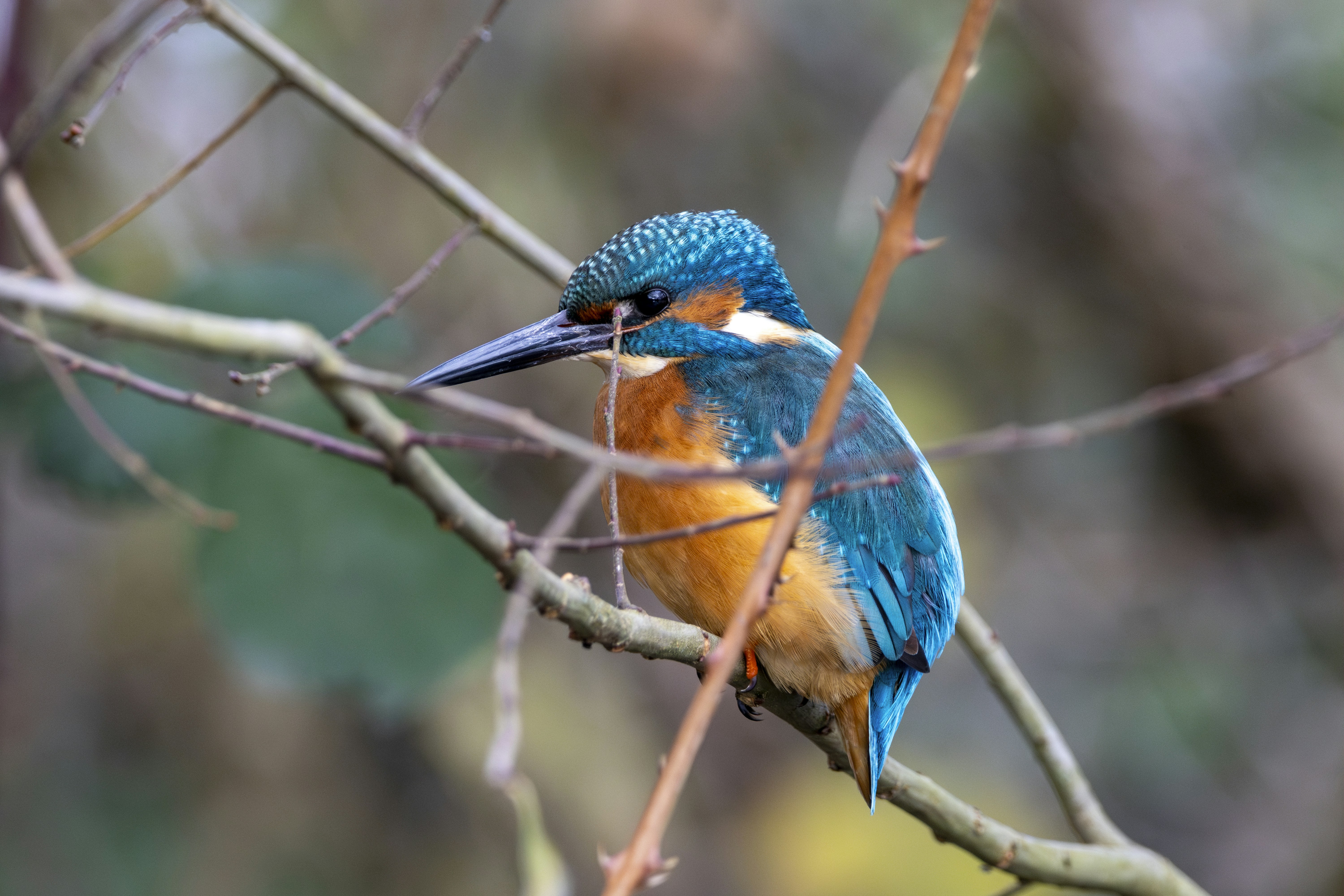 Photo by matthieur68