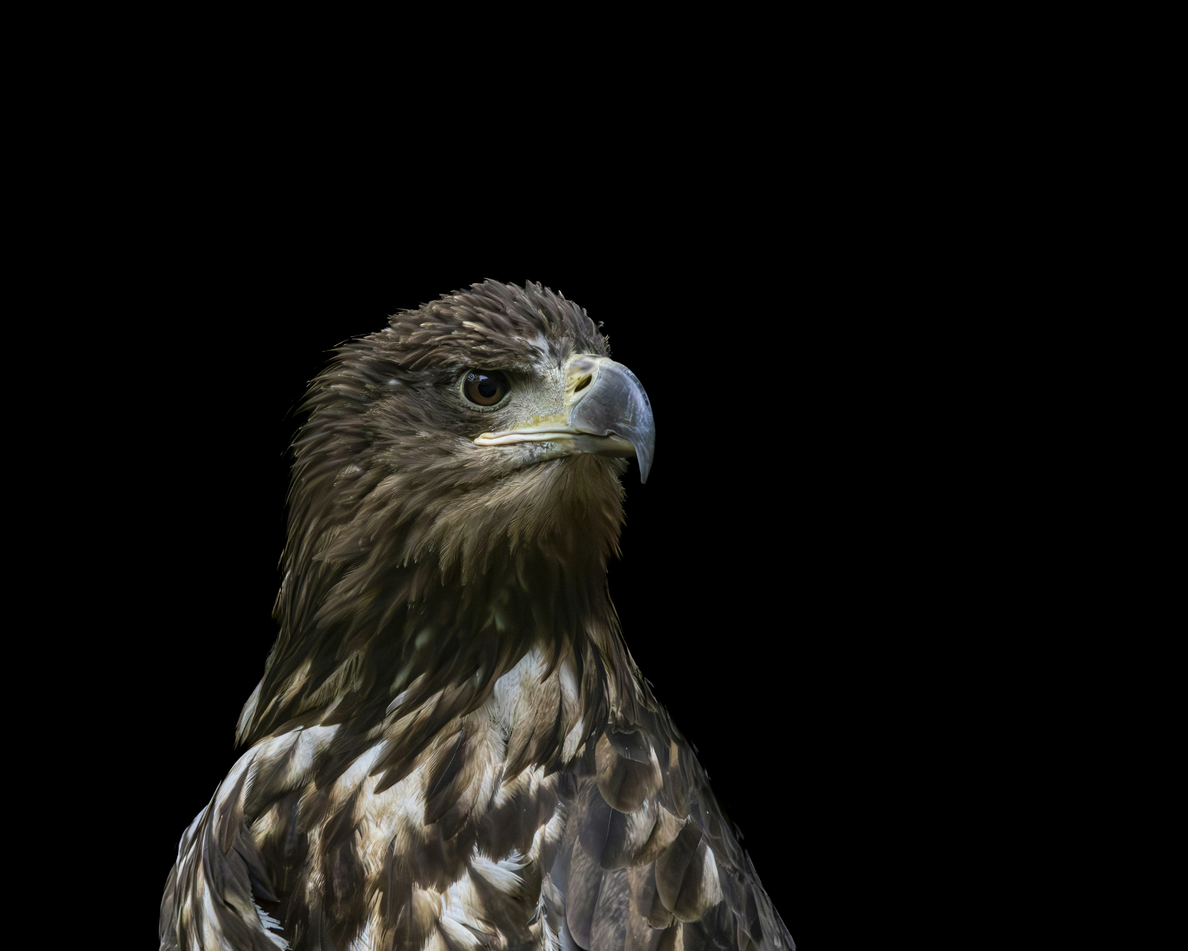 Photo by matthieur68