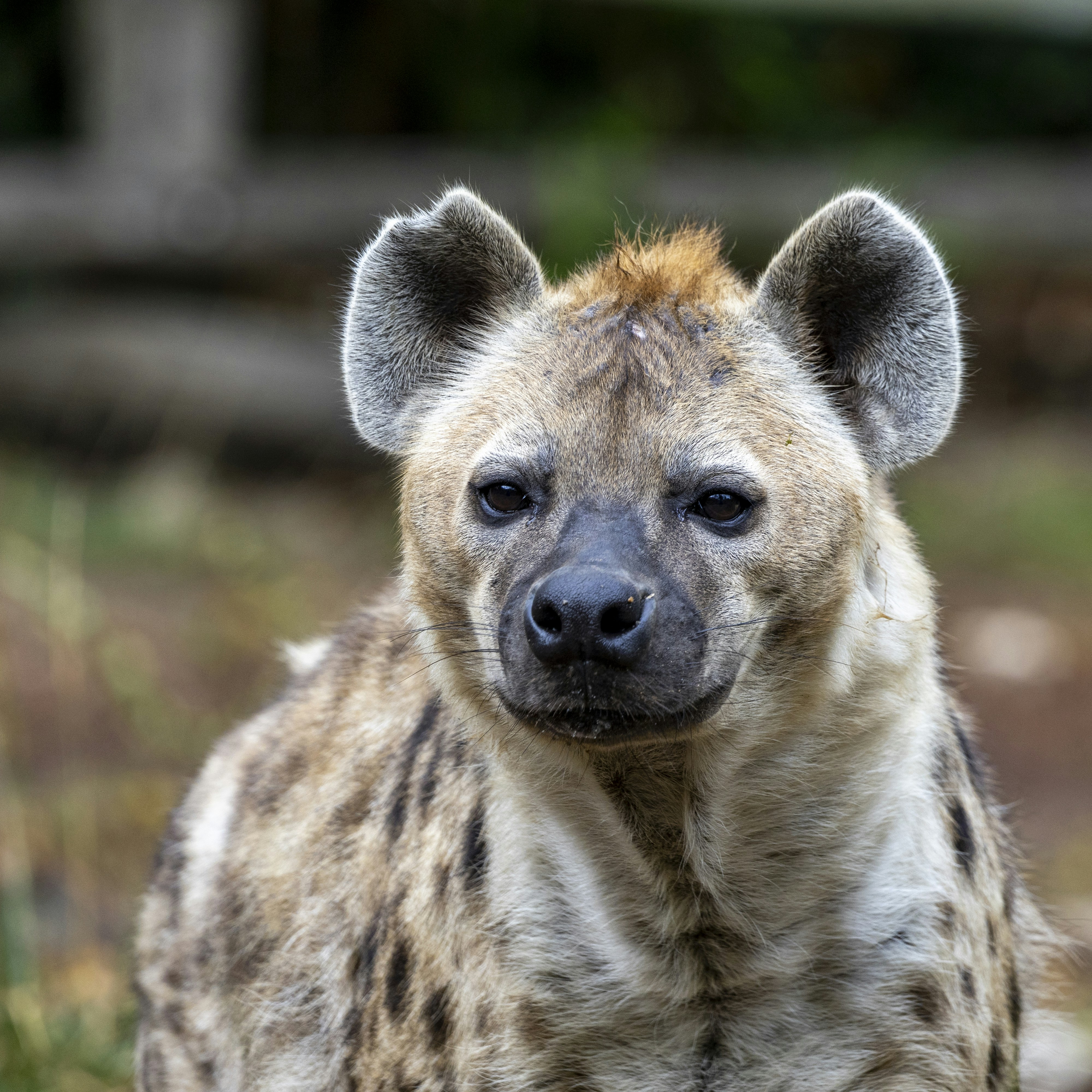 Photo by matthieur68