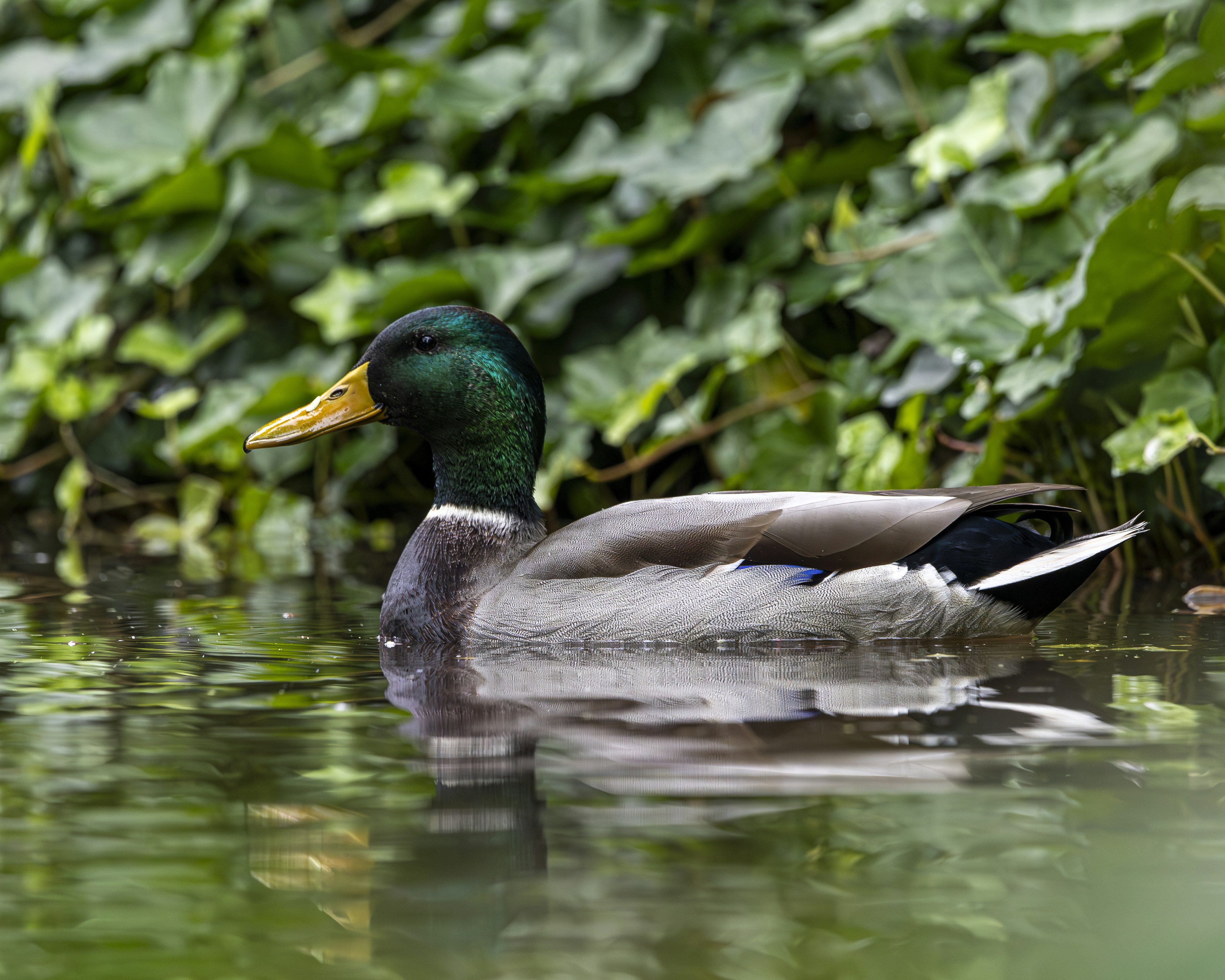 Photo by matthieur68