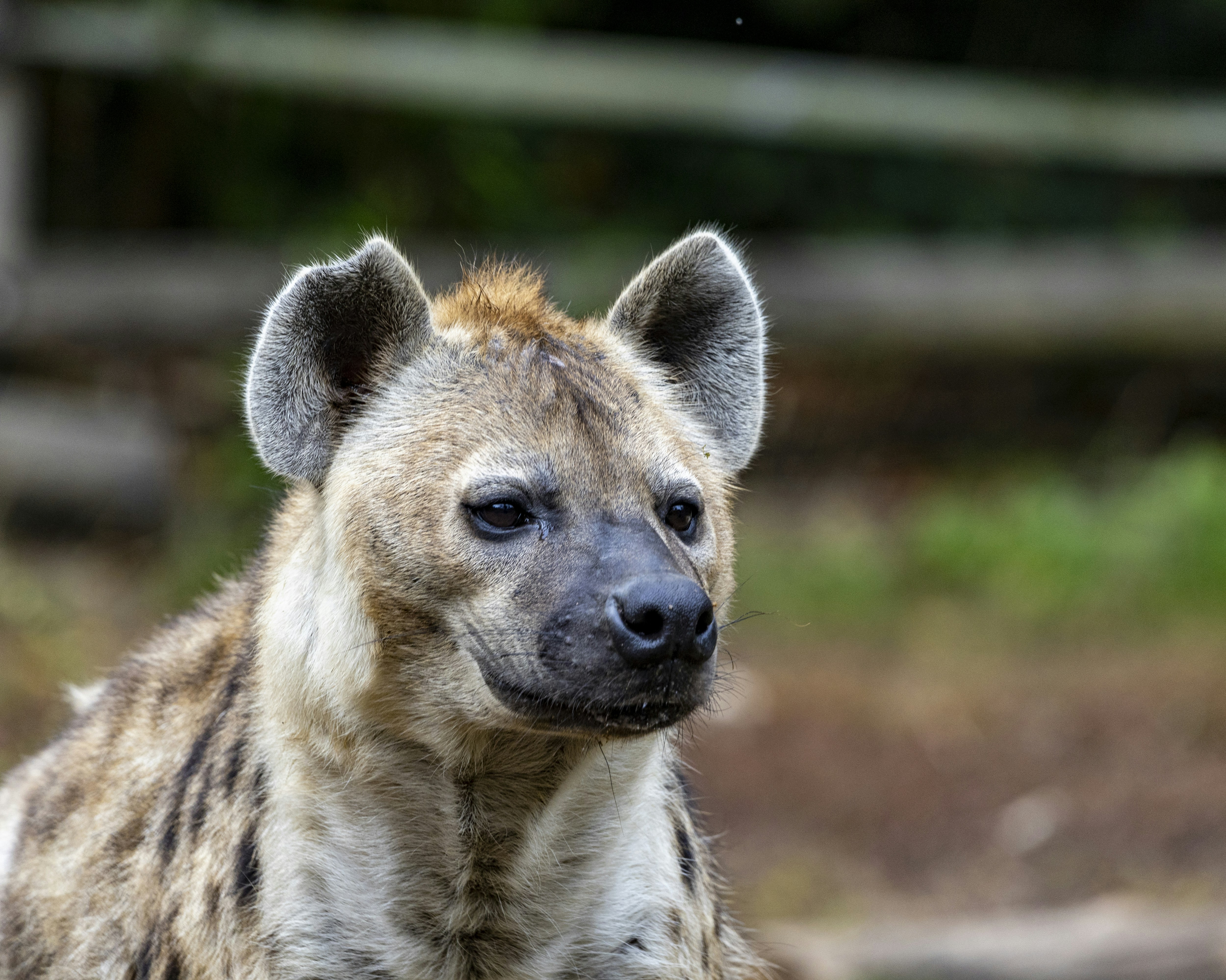 Photo by matthieur68