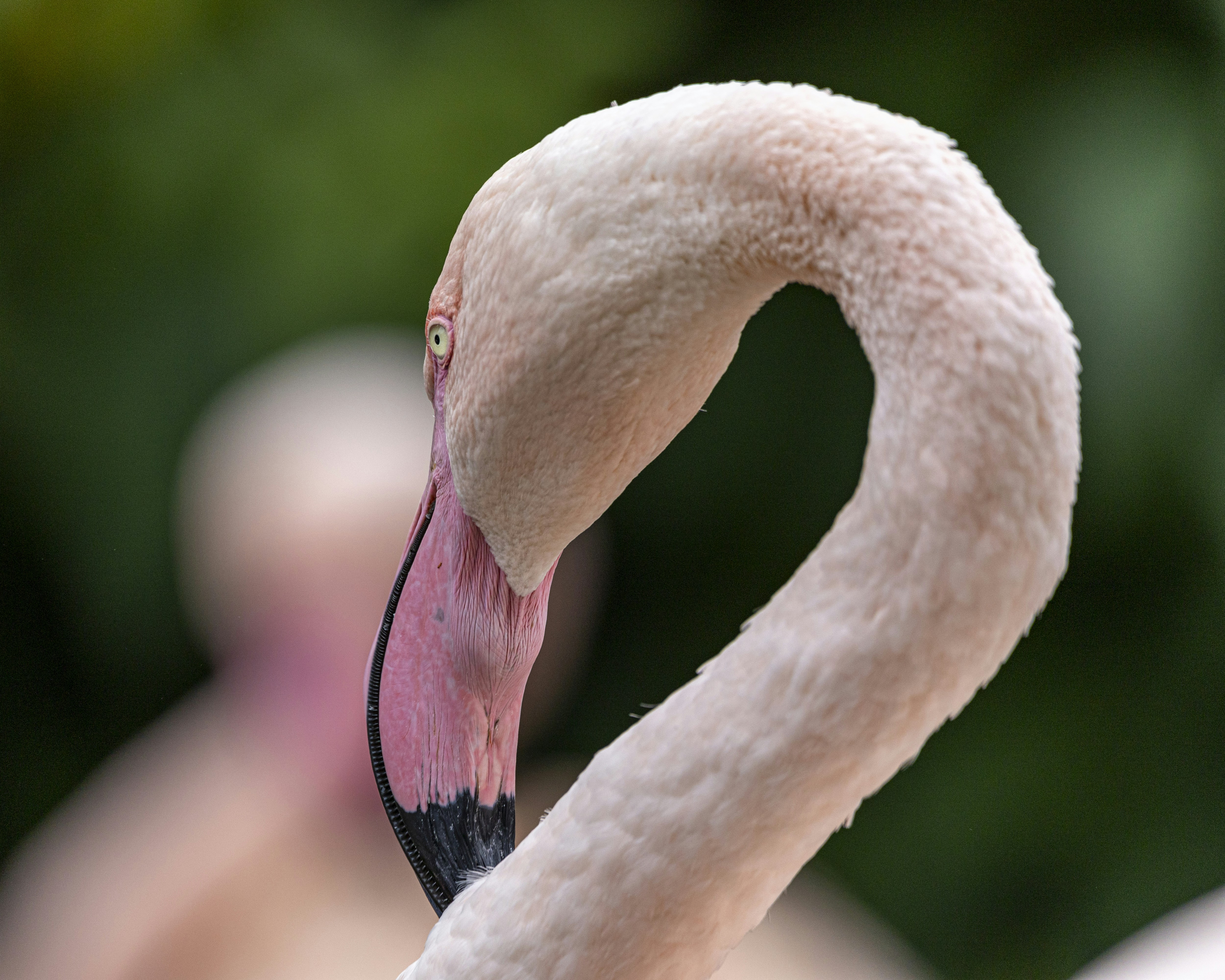 Photo by matthieur68