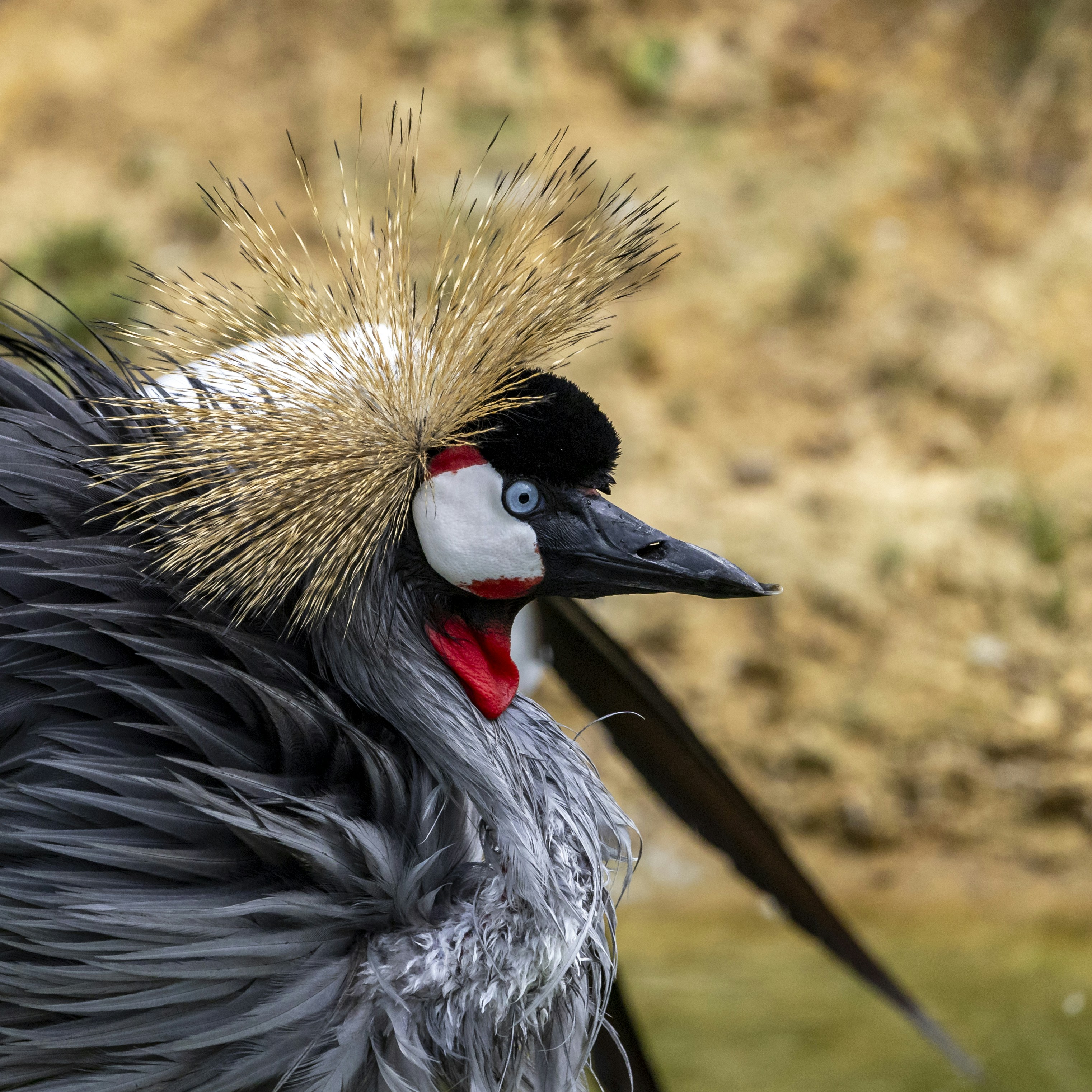 Photo by matthieur68