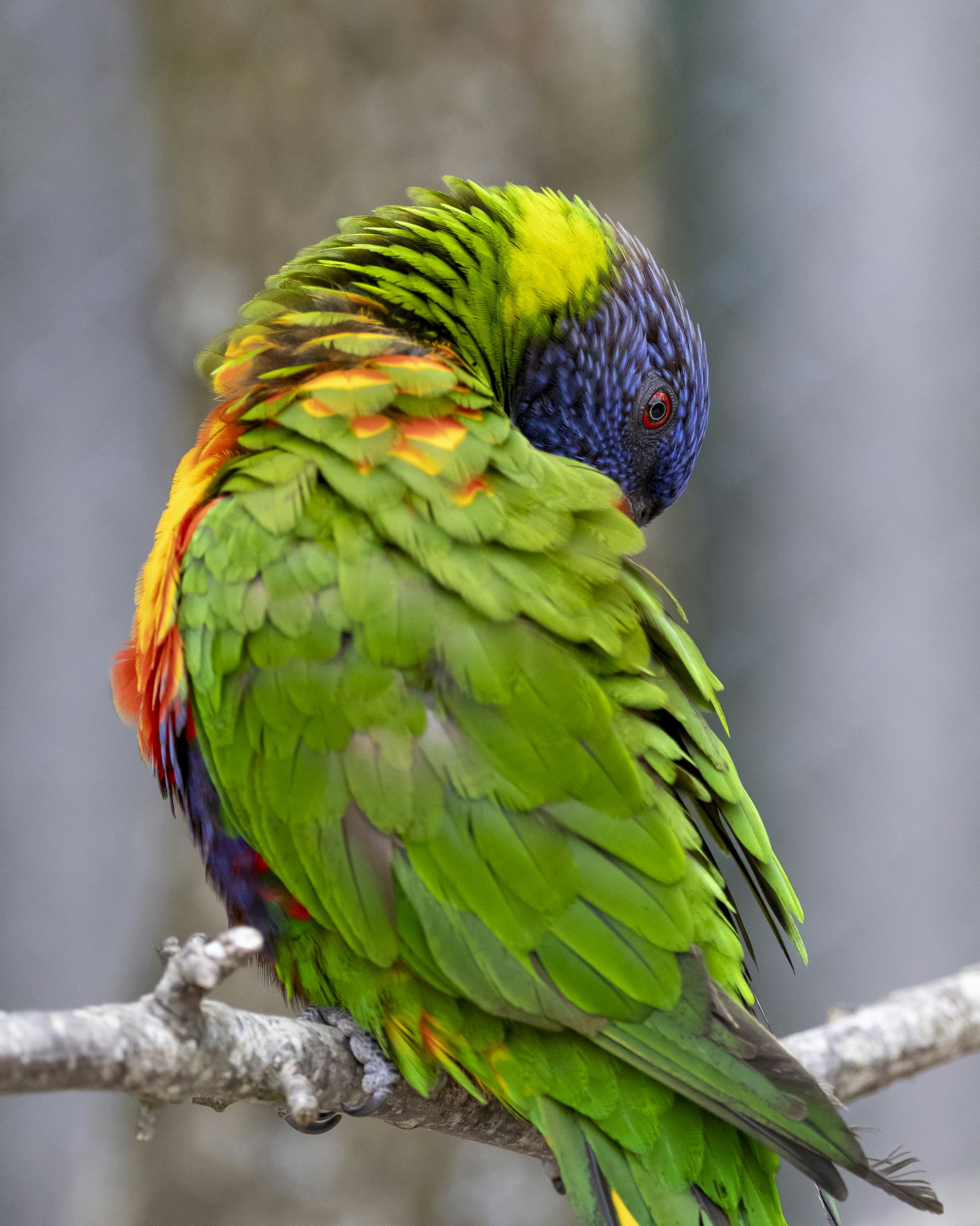 Photo by matthieur68