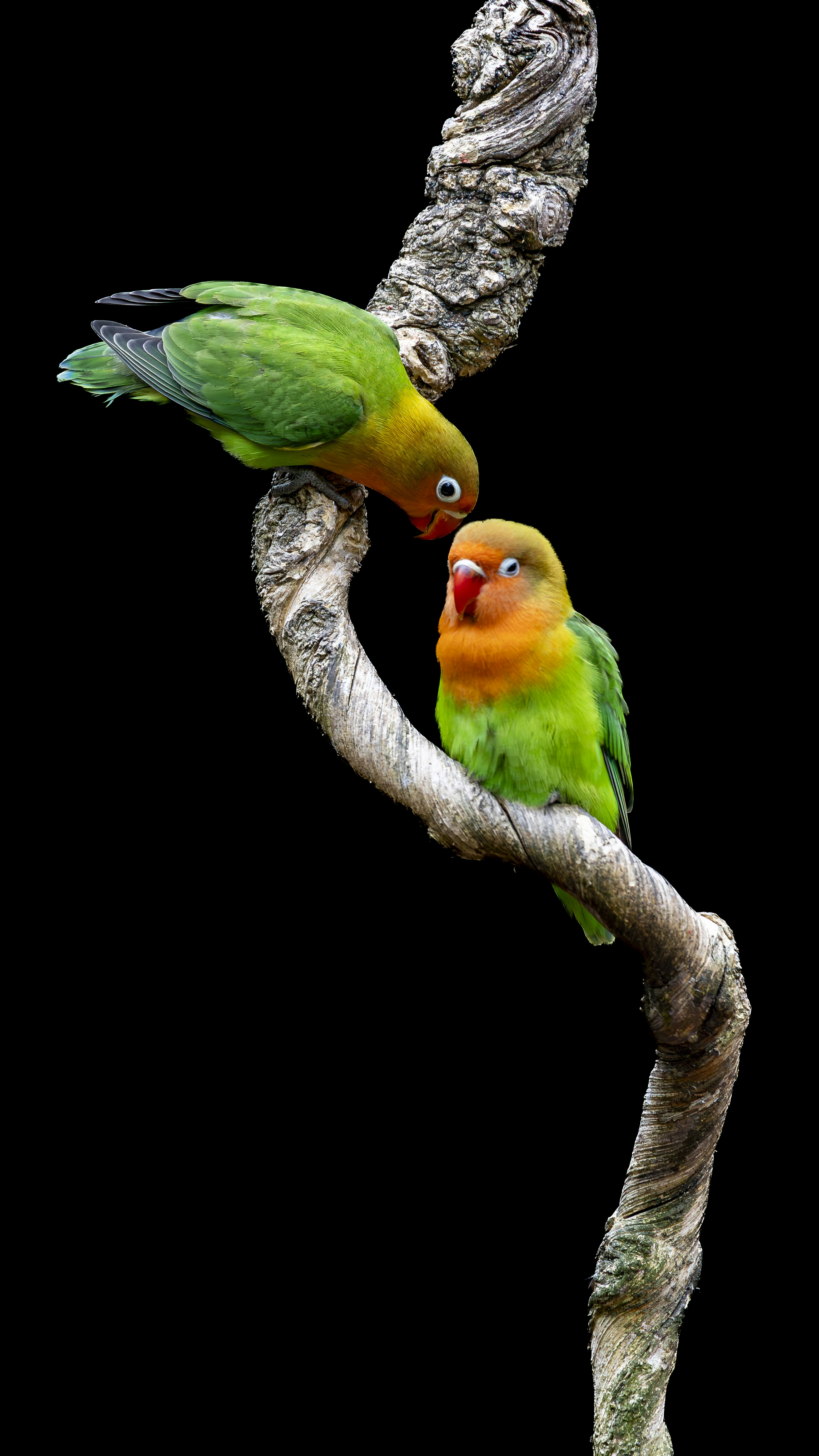 Photo by matthieur68