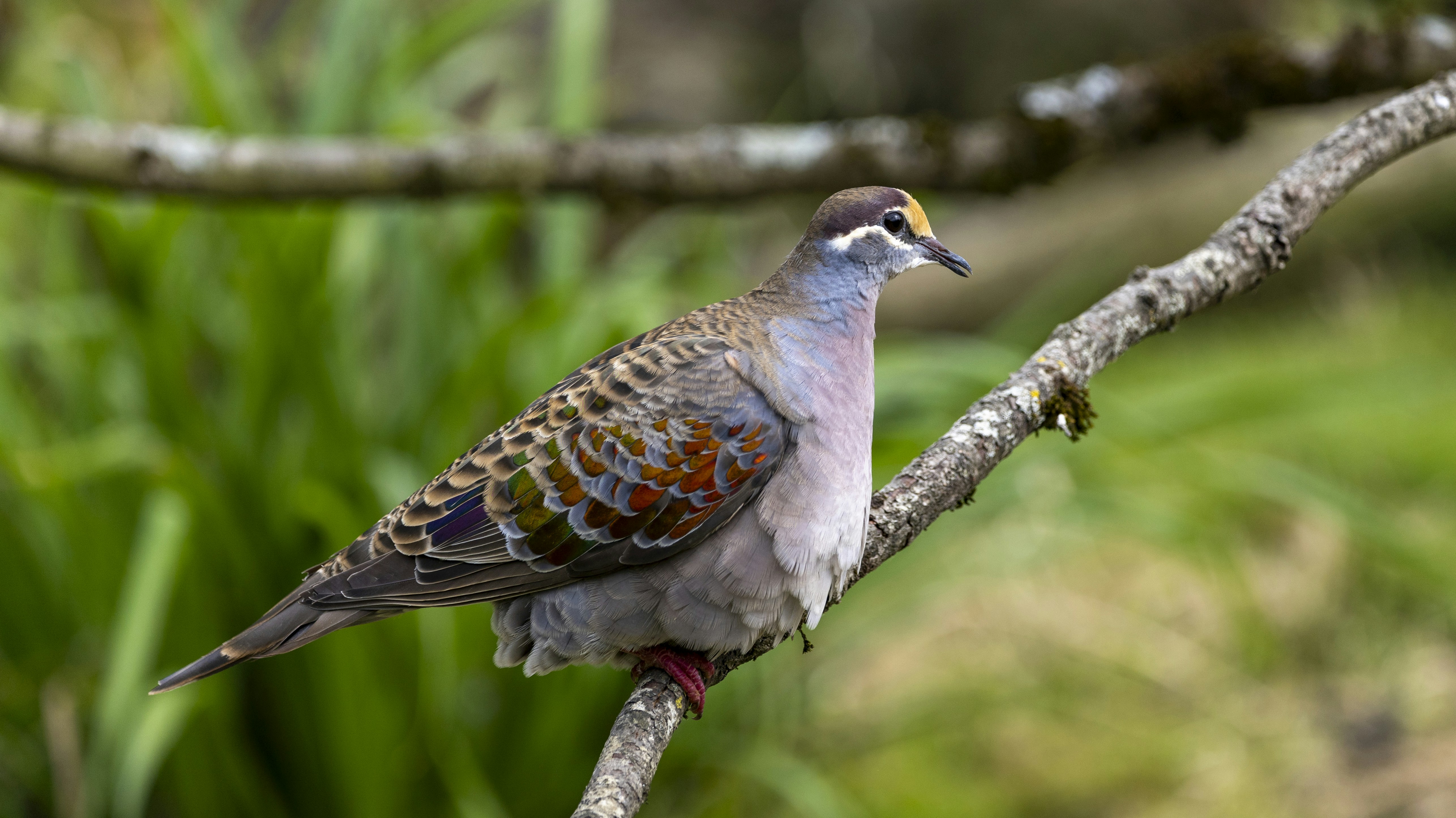 Photo by matthieur68