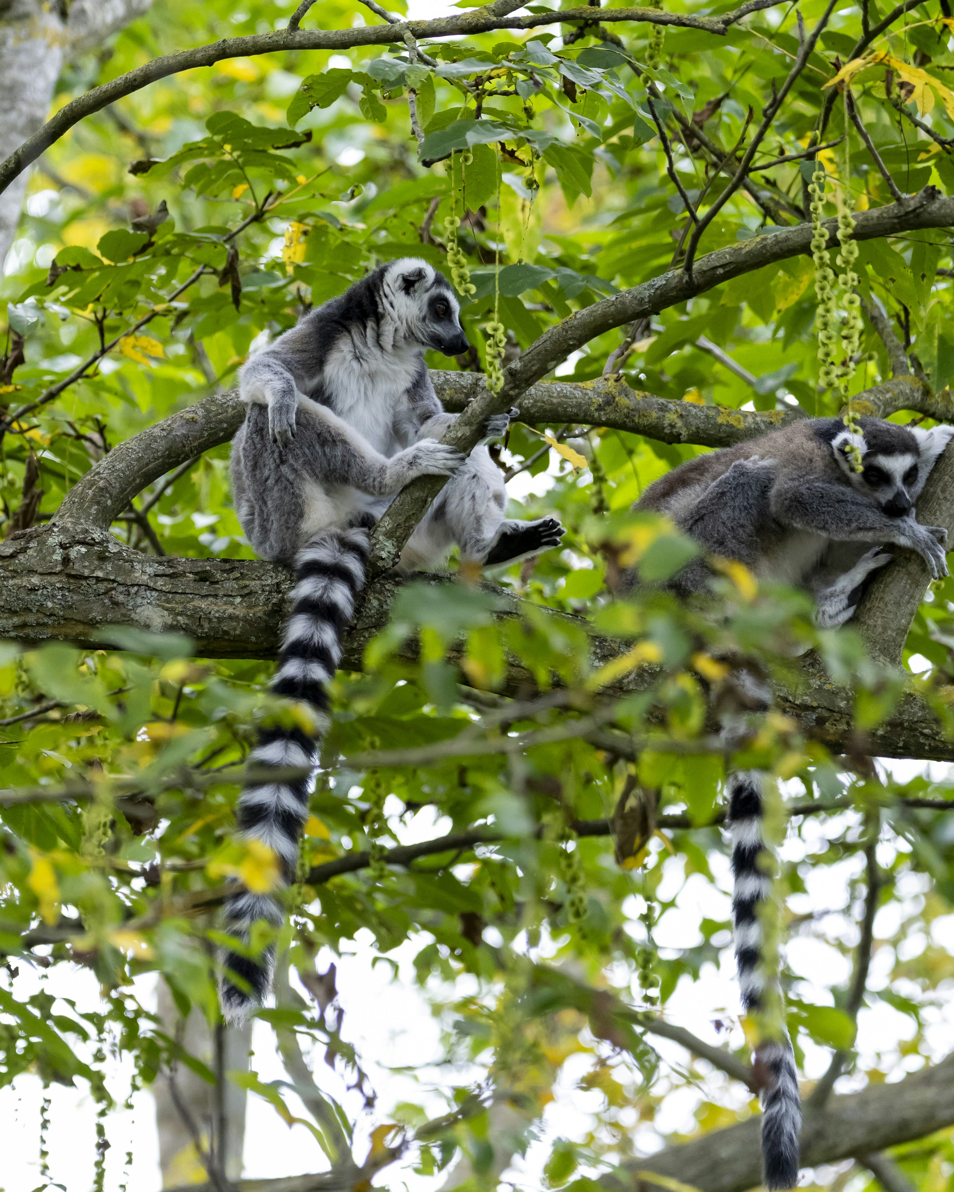 Photo by matthieur68