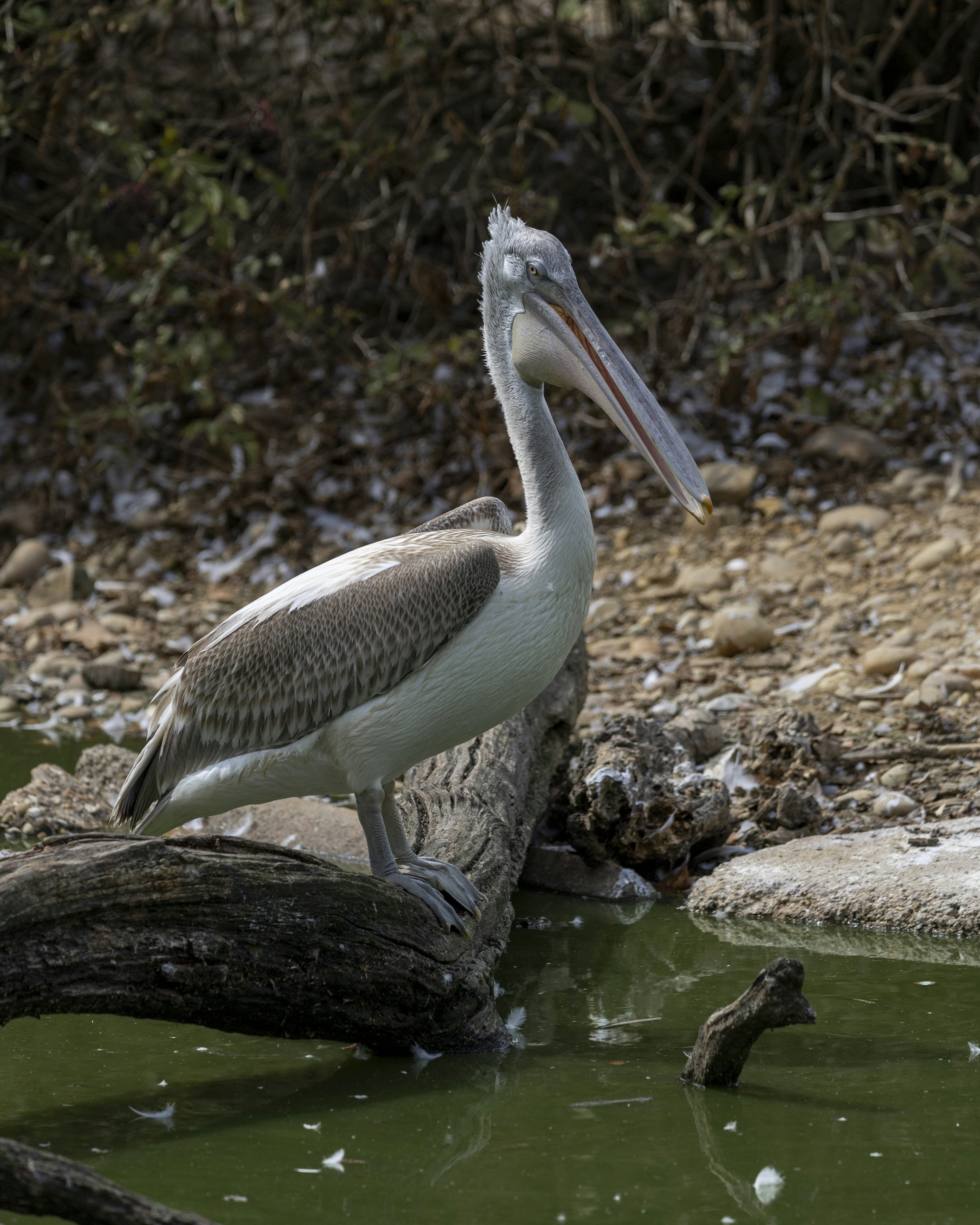 Photo by matthieur68