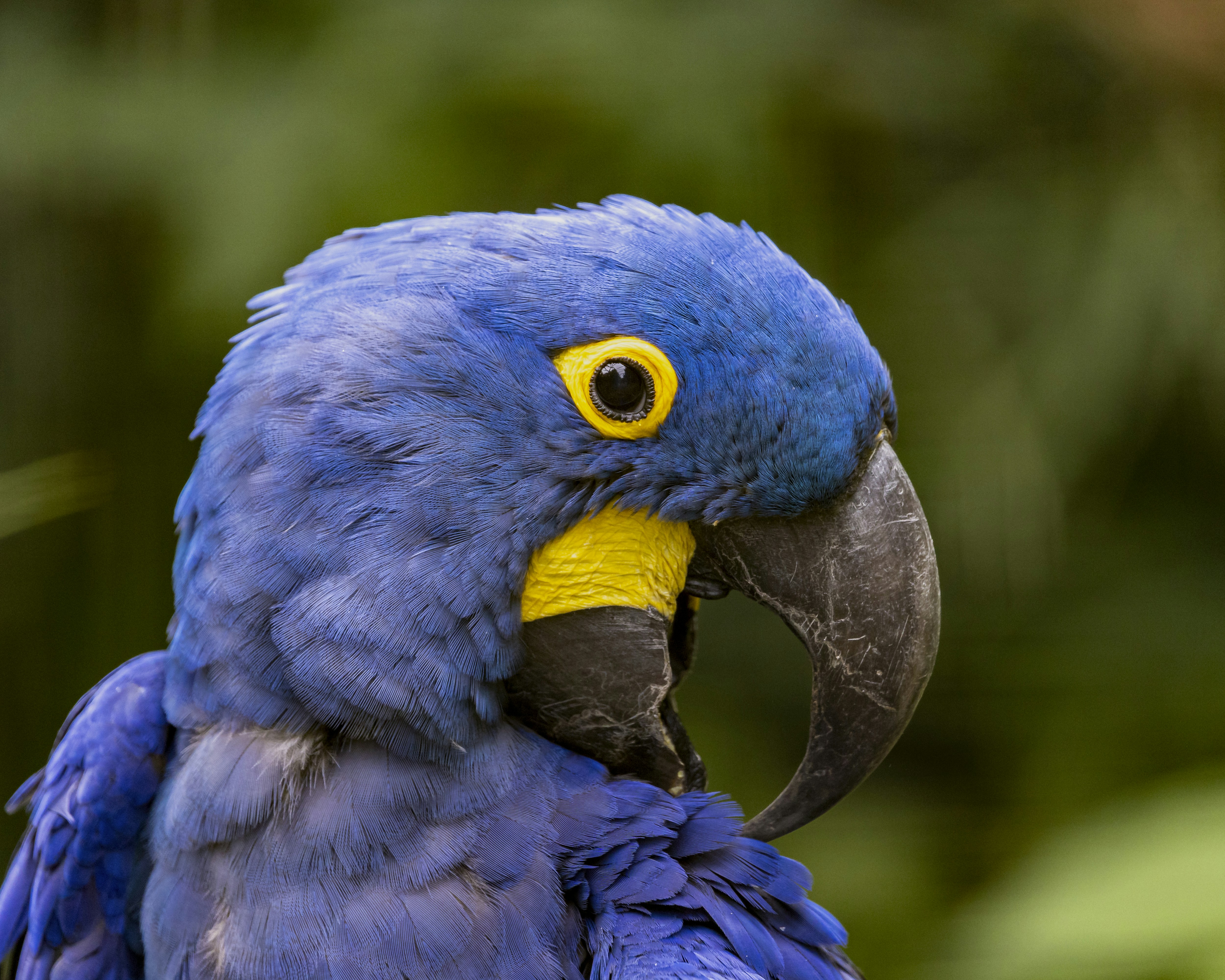 Photo by matthieur68