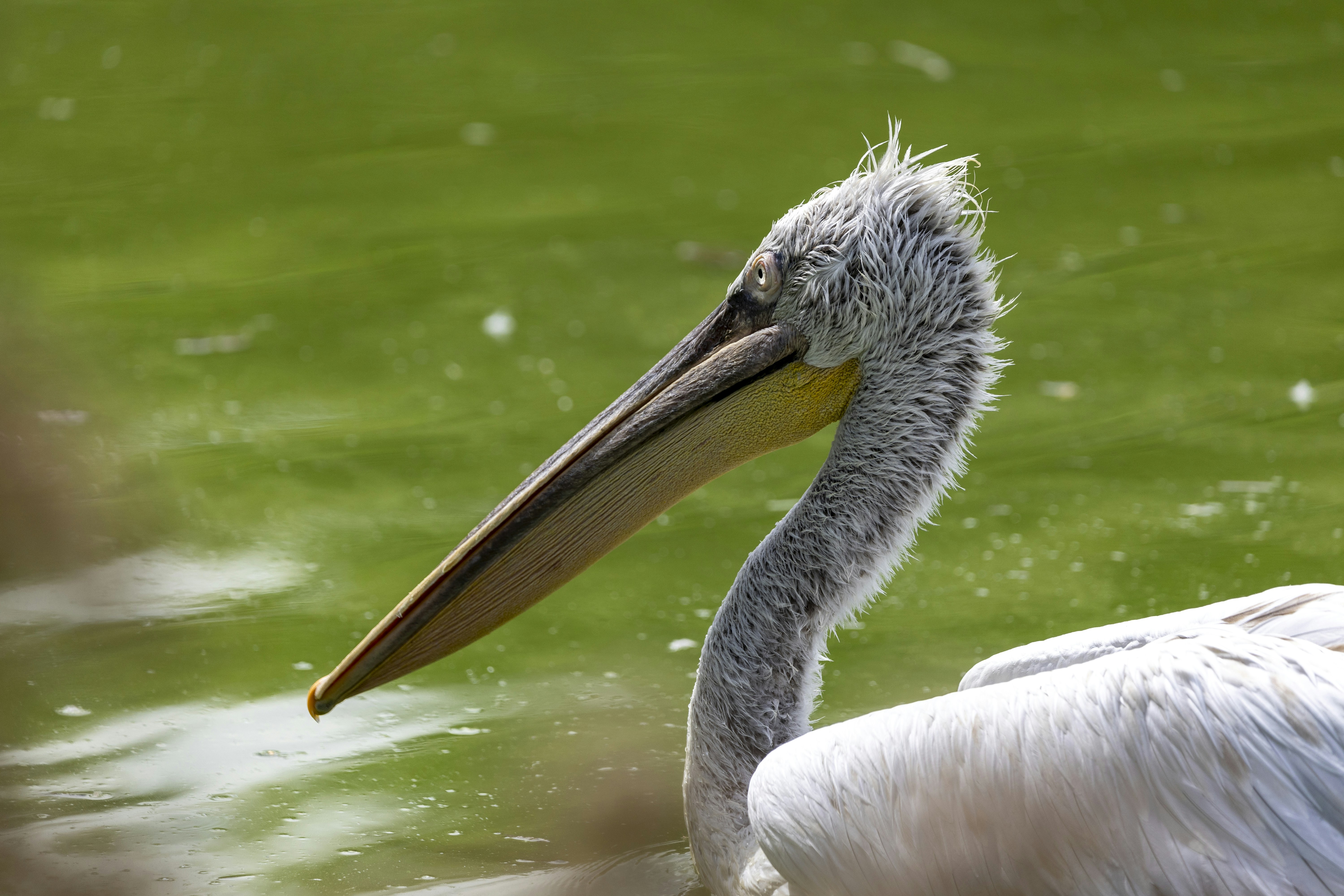 Photo by matthieur68