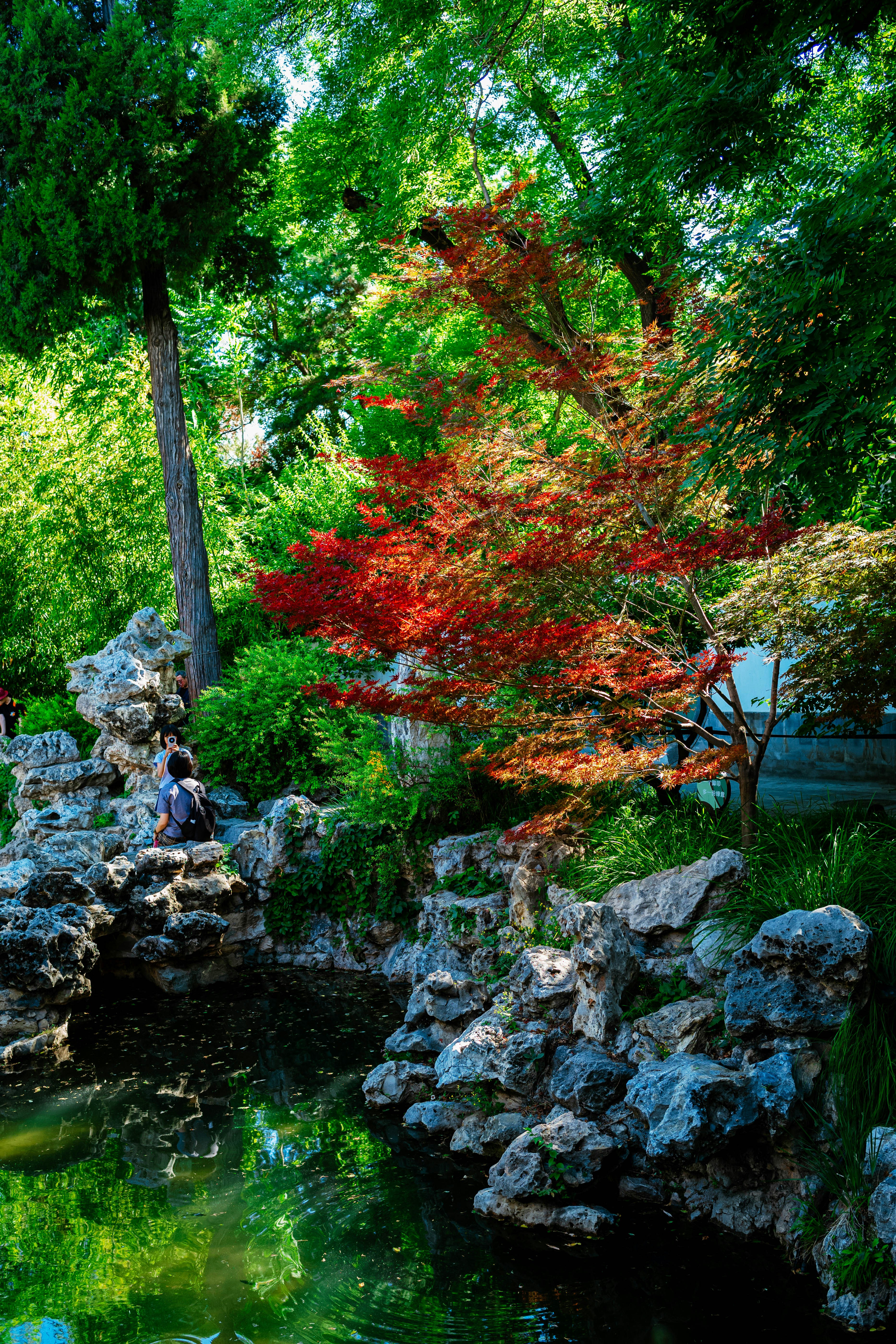 Photo by tommaomaoer