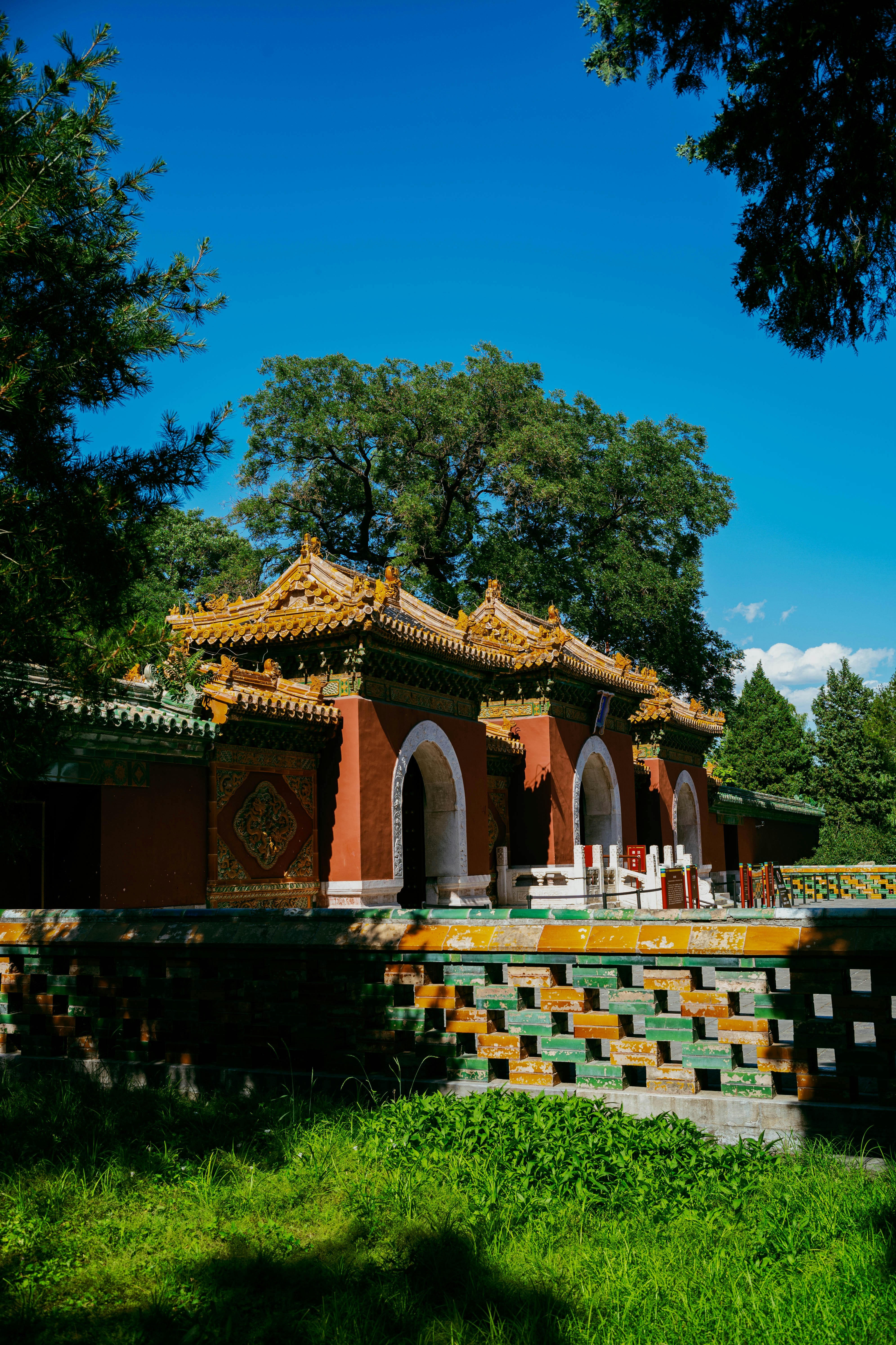 Photo by tommaomaoer