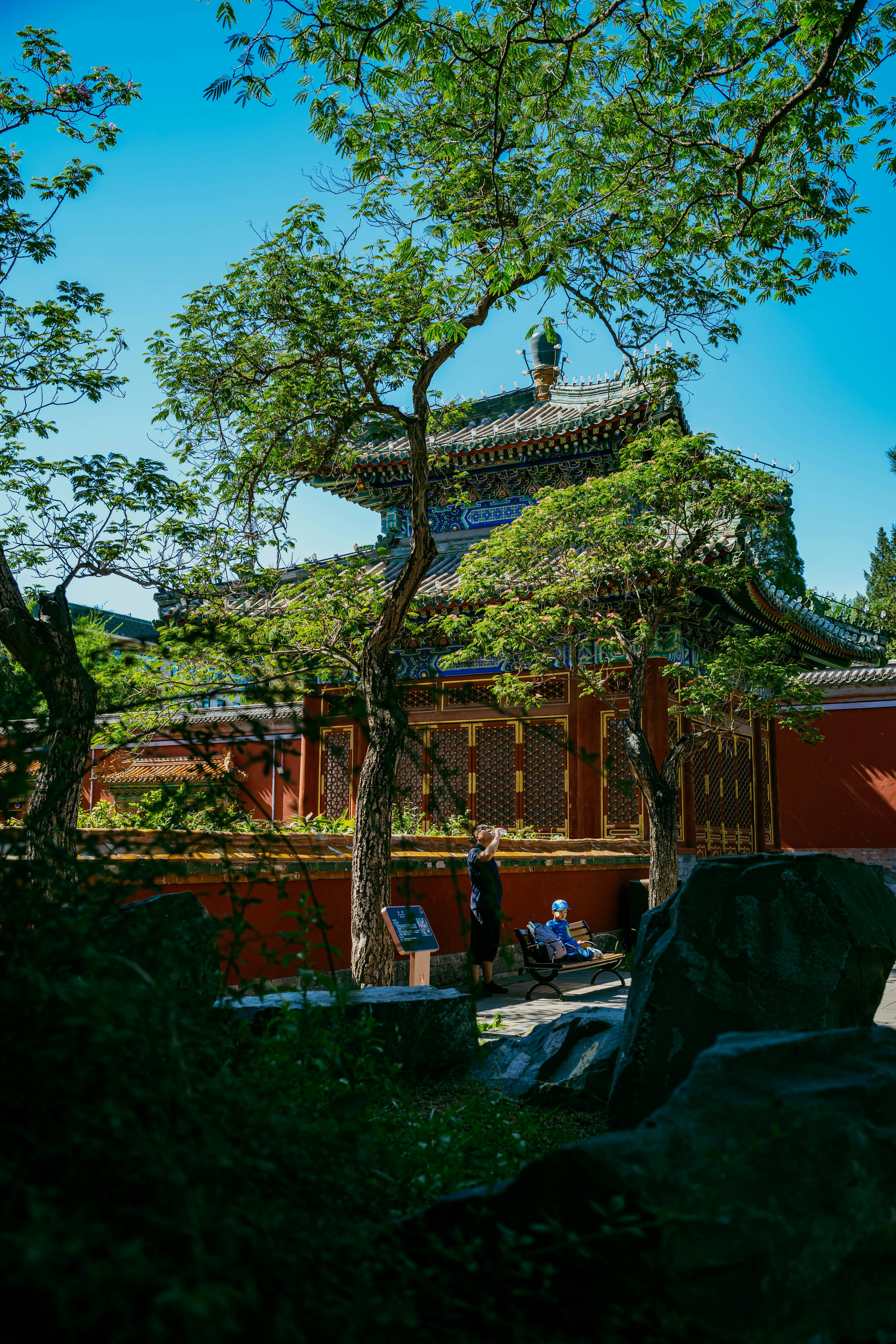 Photo by tommaomaoer