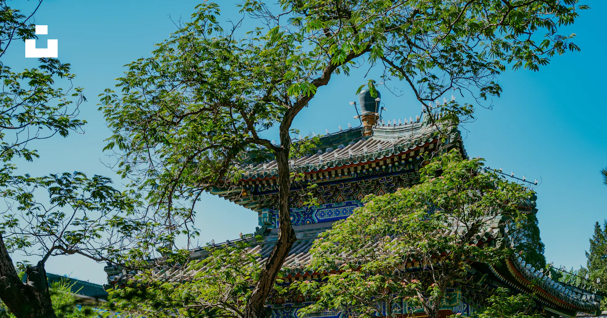 Asian Build A traditional asian building is framed by trees. photo – Free Building ...