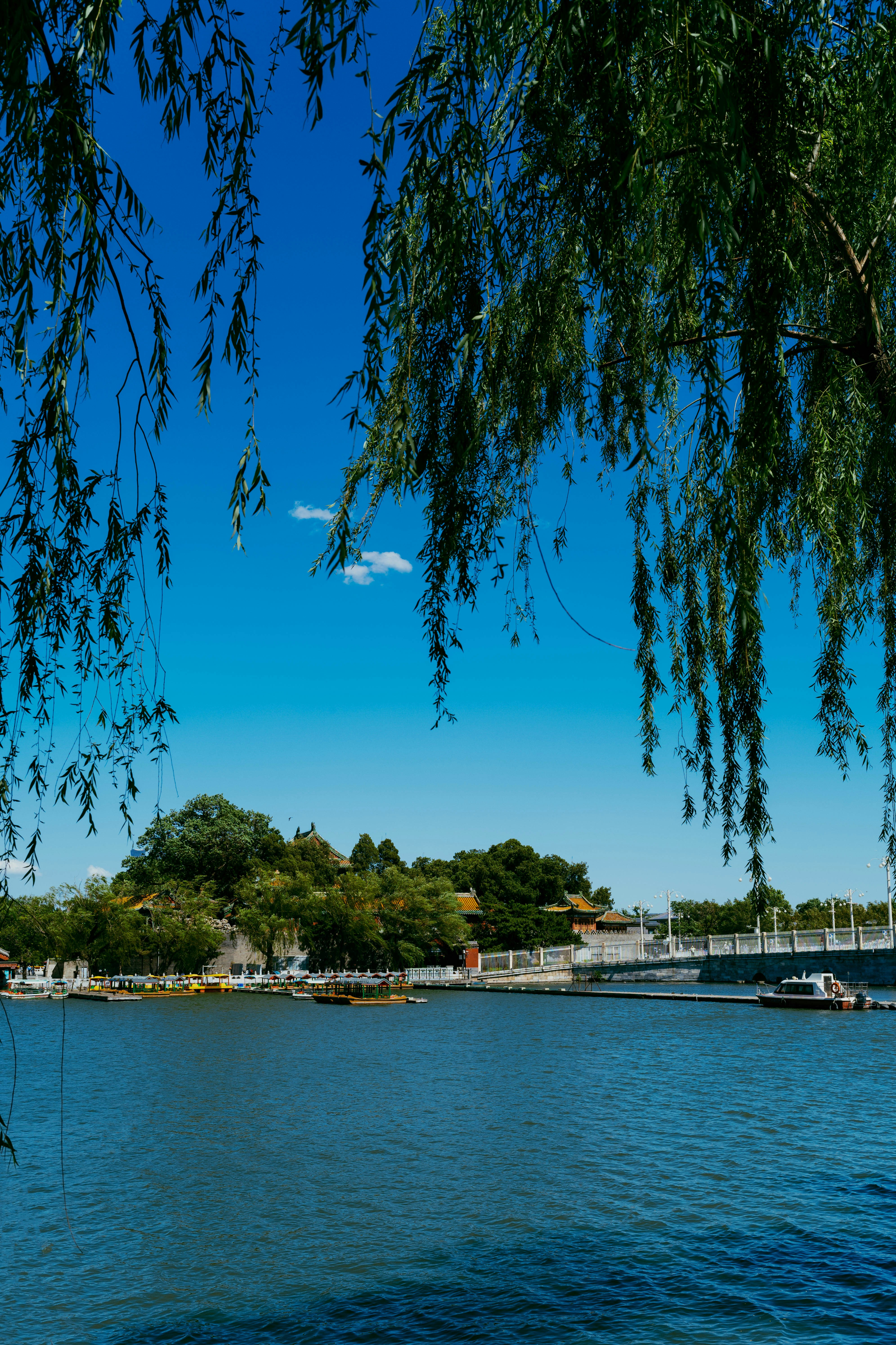 Photo by tommaomaoer