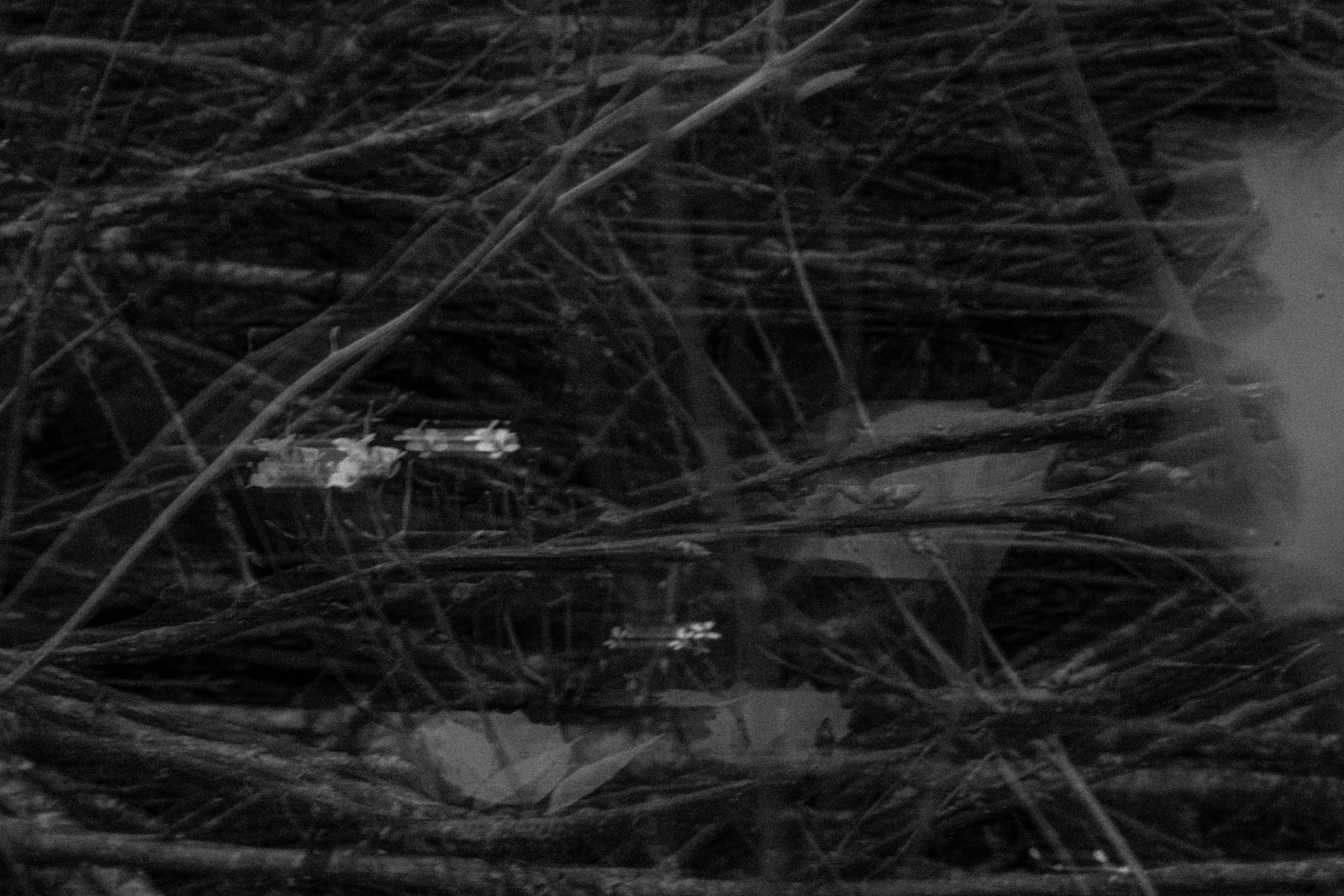 Photo by vierravincent