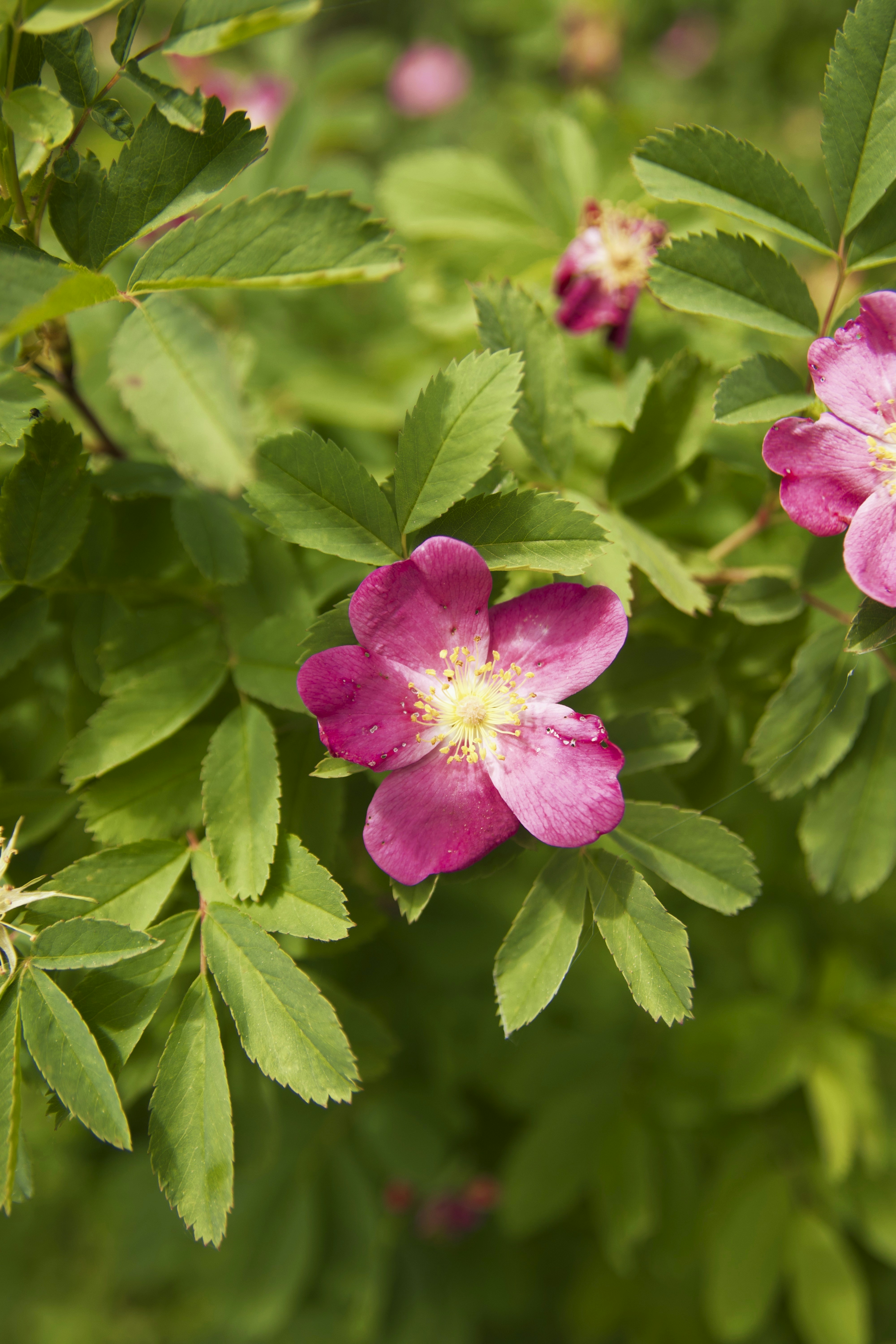 Photo by canyonswartz