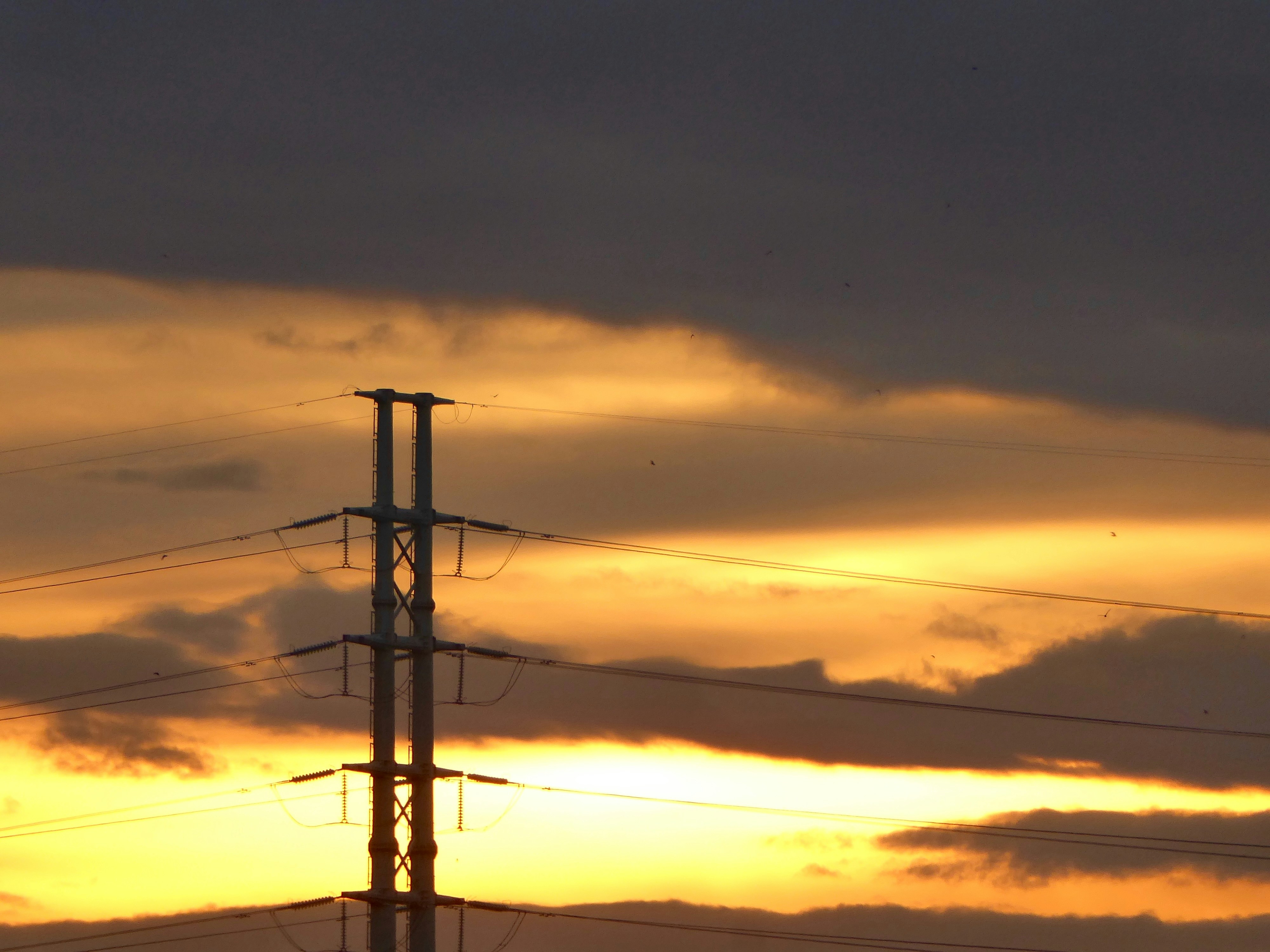 Oil Prices Tumble as Oversupply Fears and Weak Demand Mount