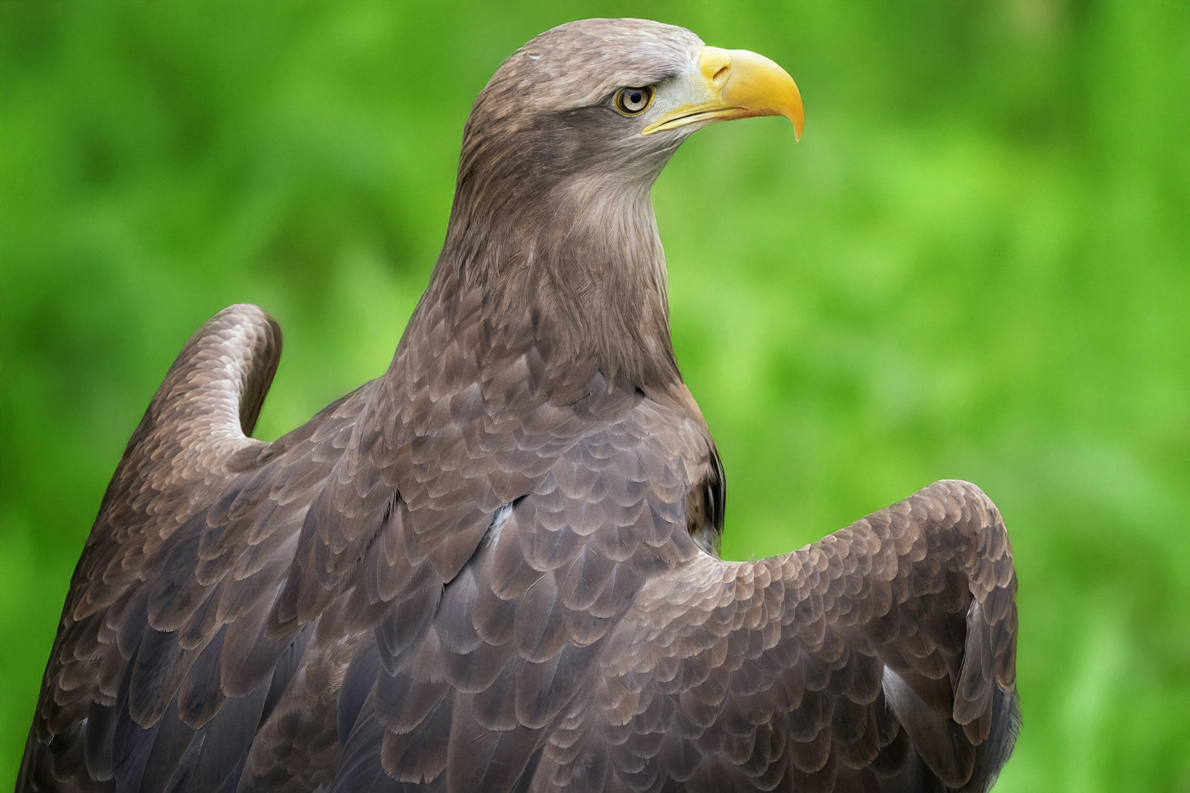 Photo by philrobson100